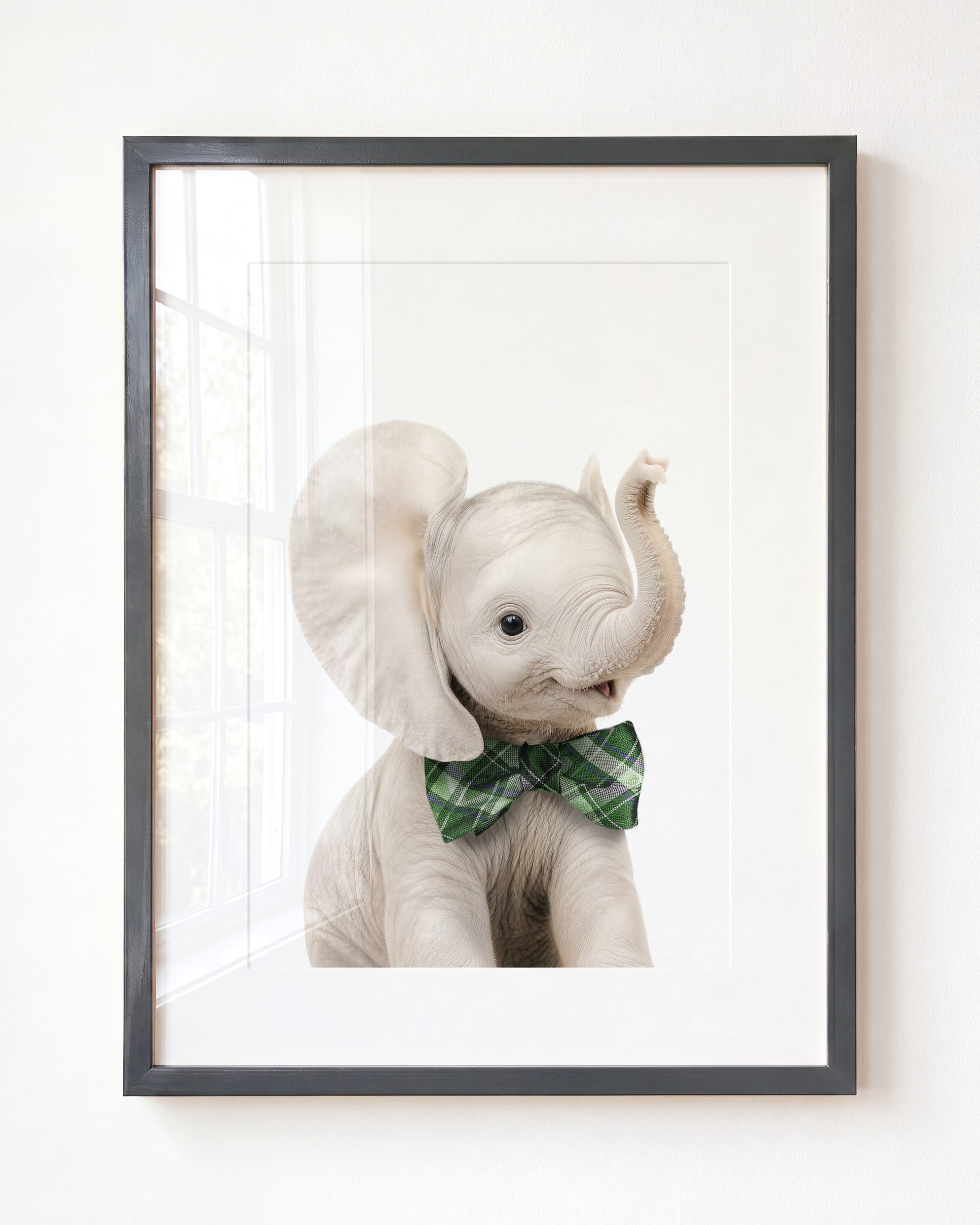 Baby Elephant