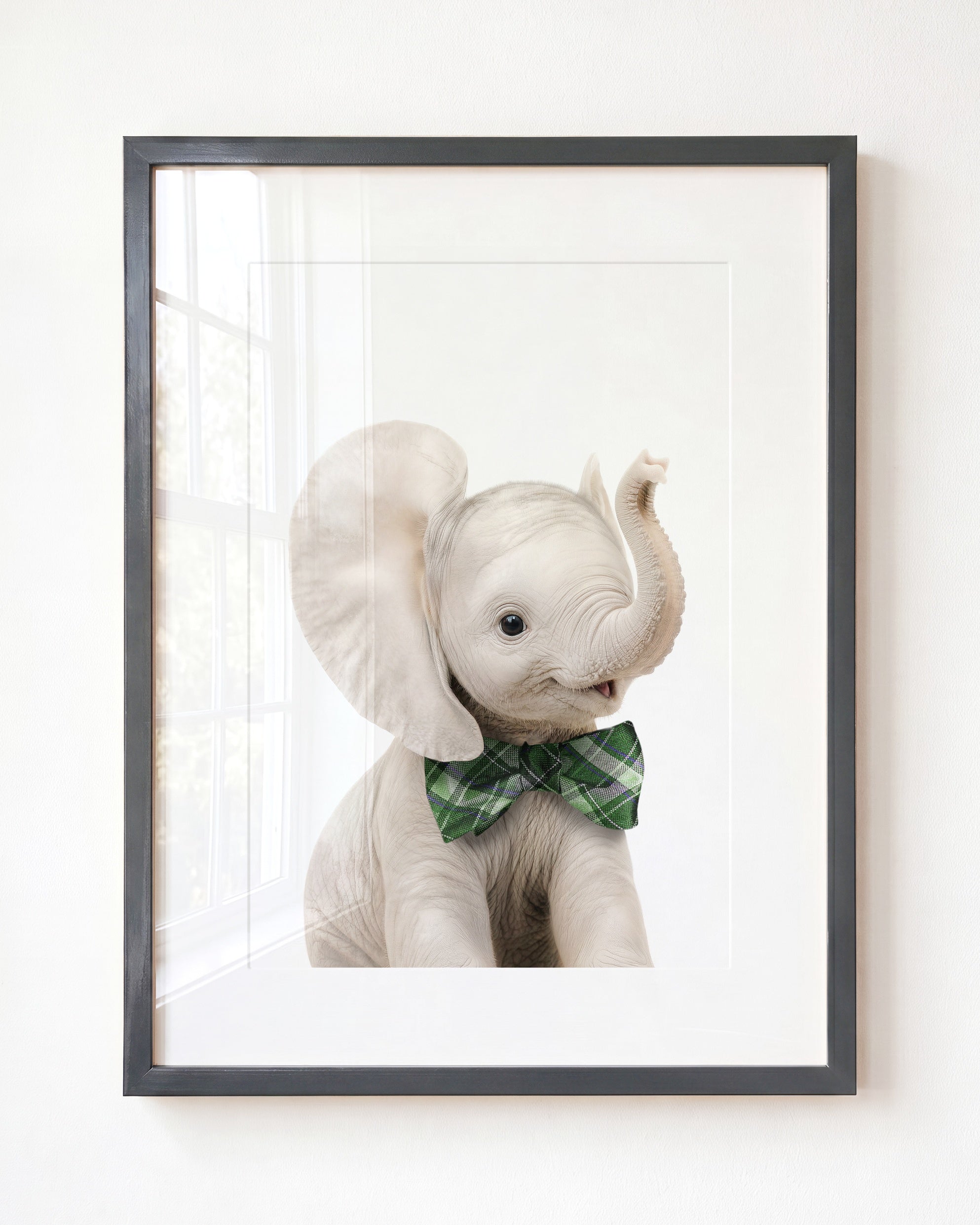 Baby Elephant