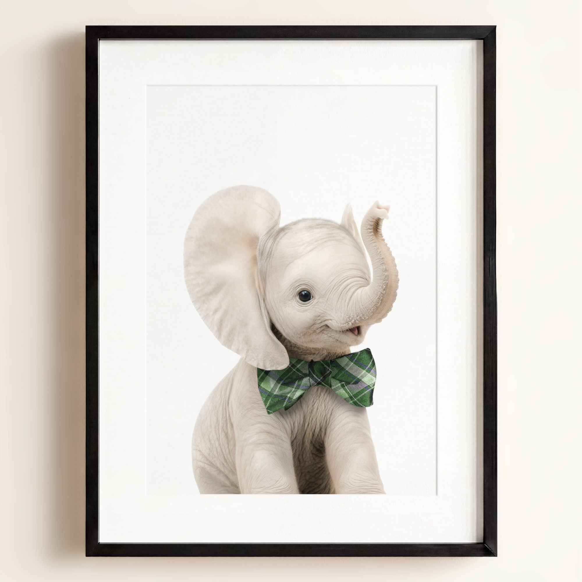 Baby Elephant