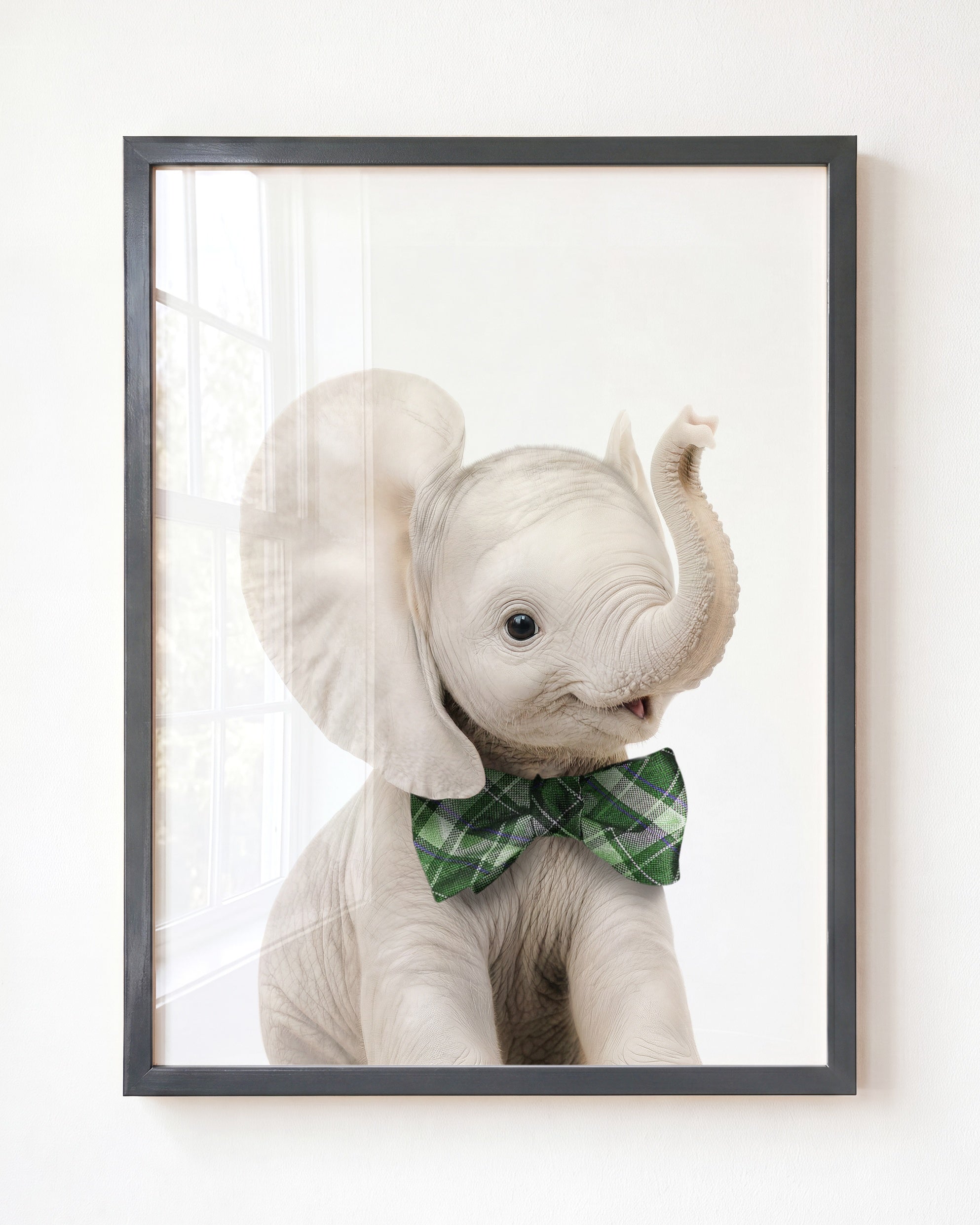 Baby Elephant