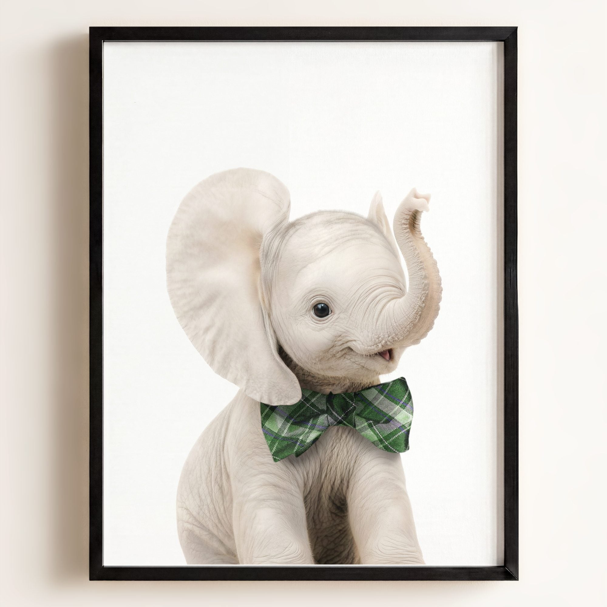 Baby Elephant