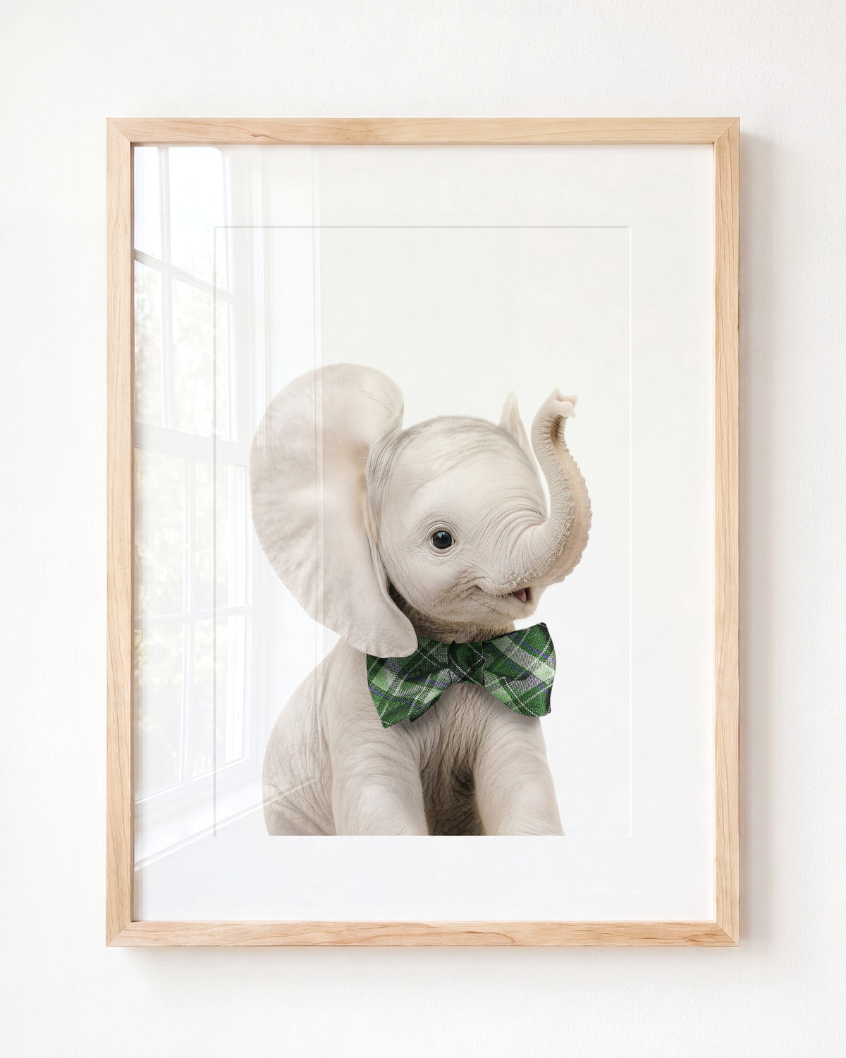 Baby Elephant