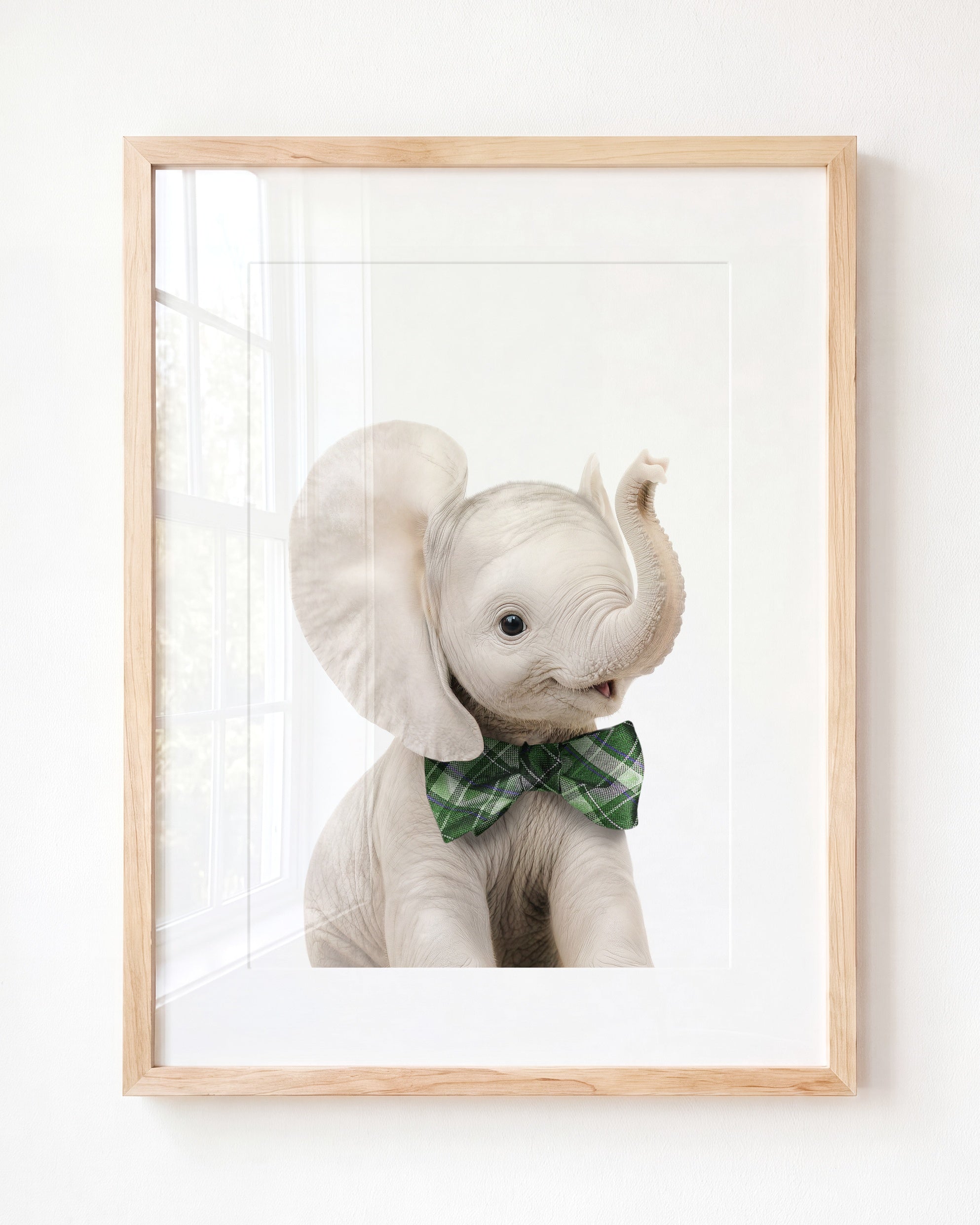 Baby Elephant