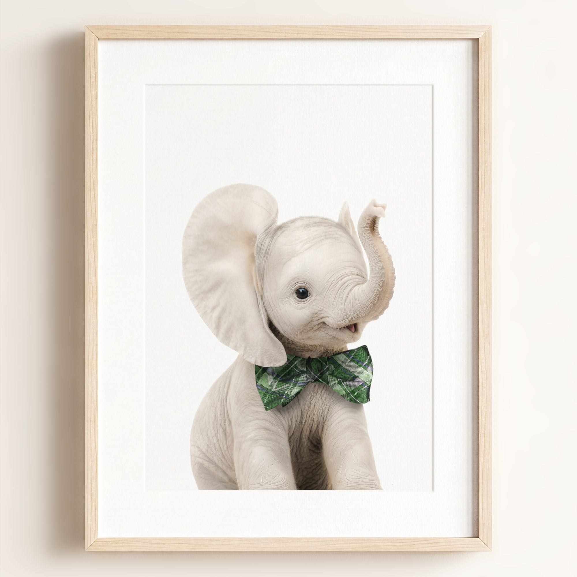 Baby Elephant