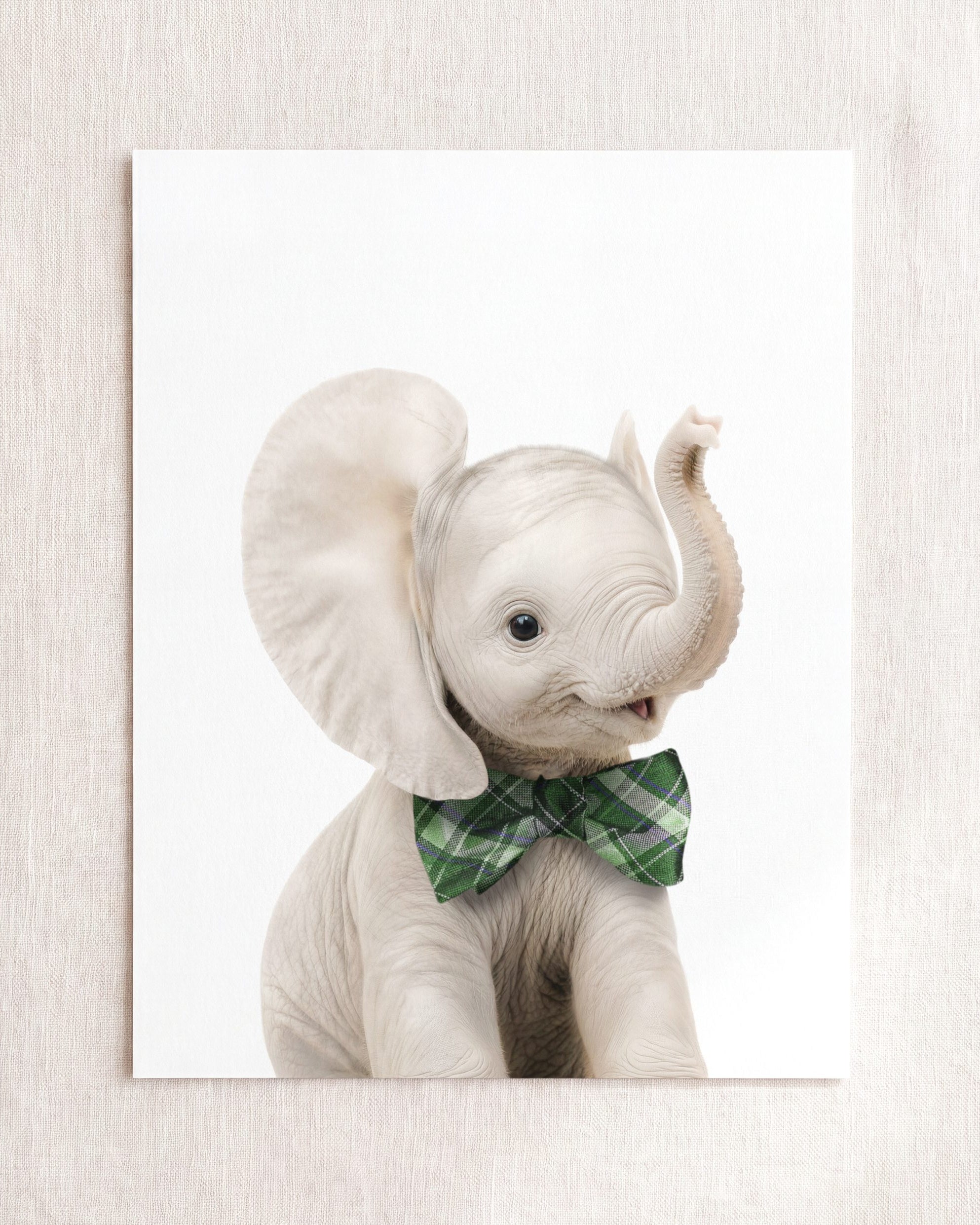 Baby Elephant