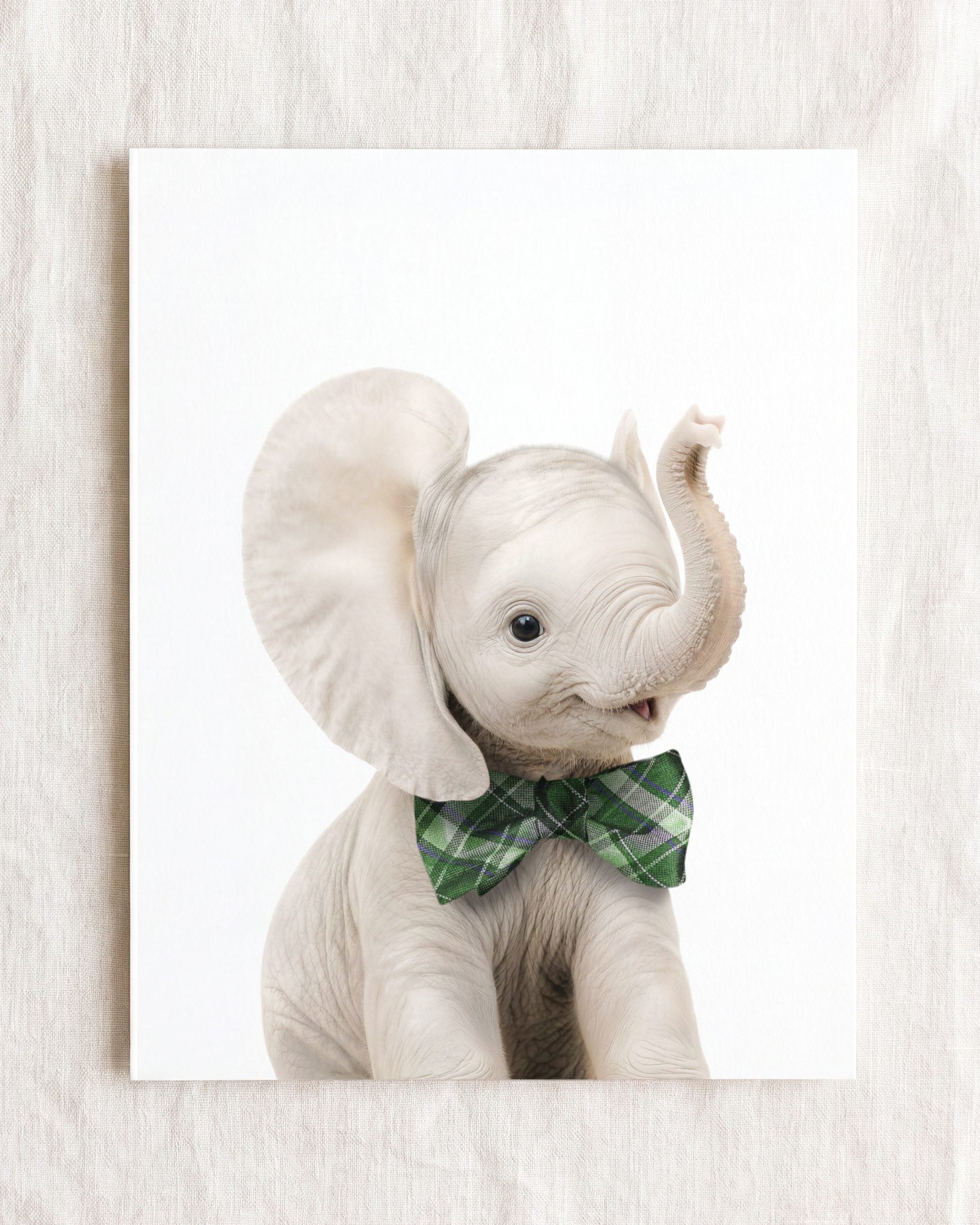 Baby Elephant