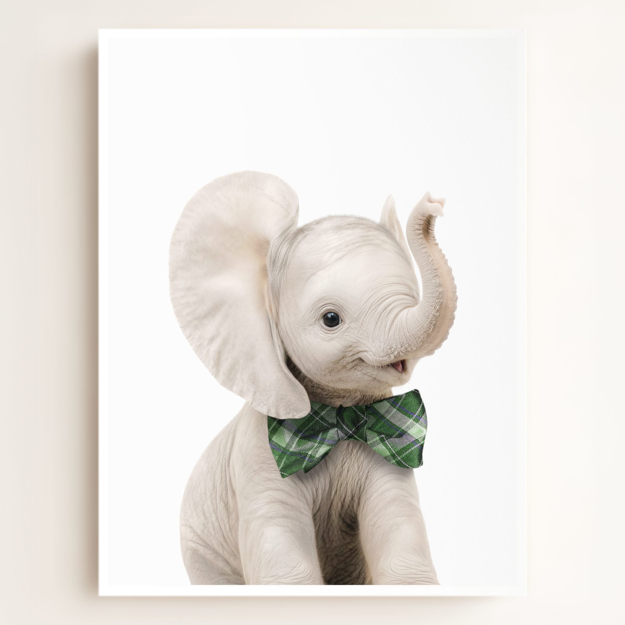 Baby Elephant