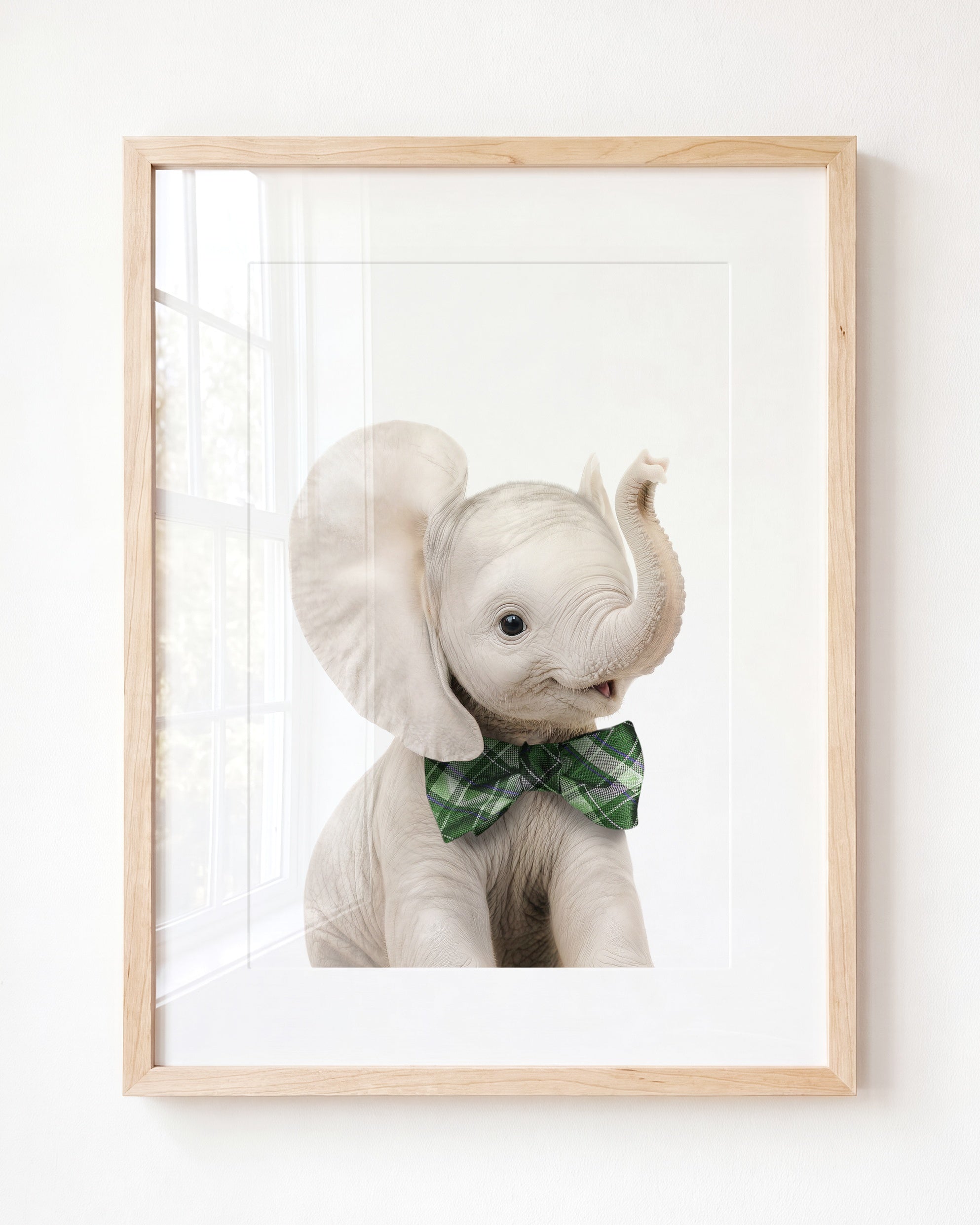 Baby Elephant