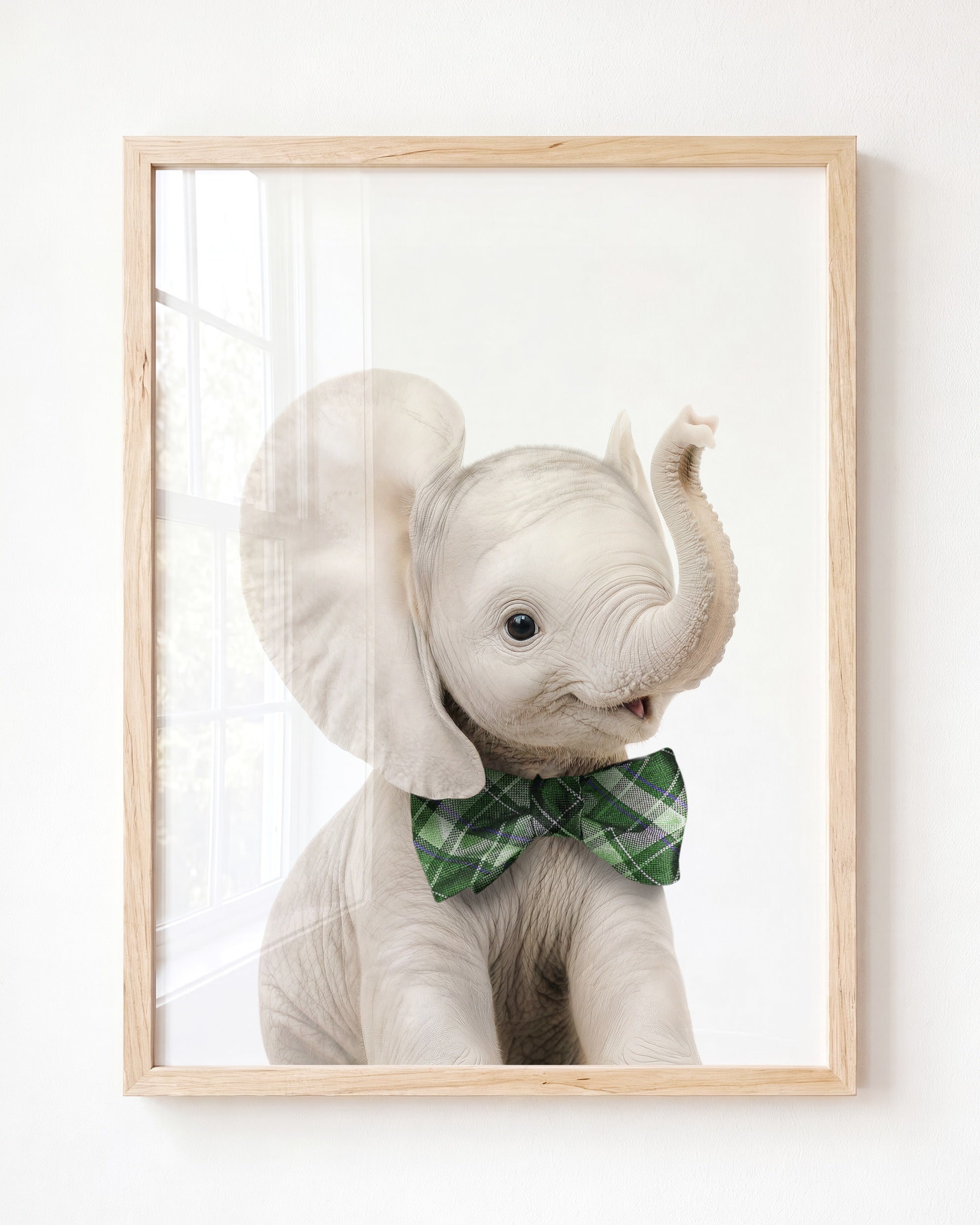 Baby Elephant