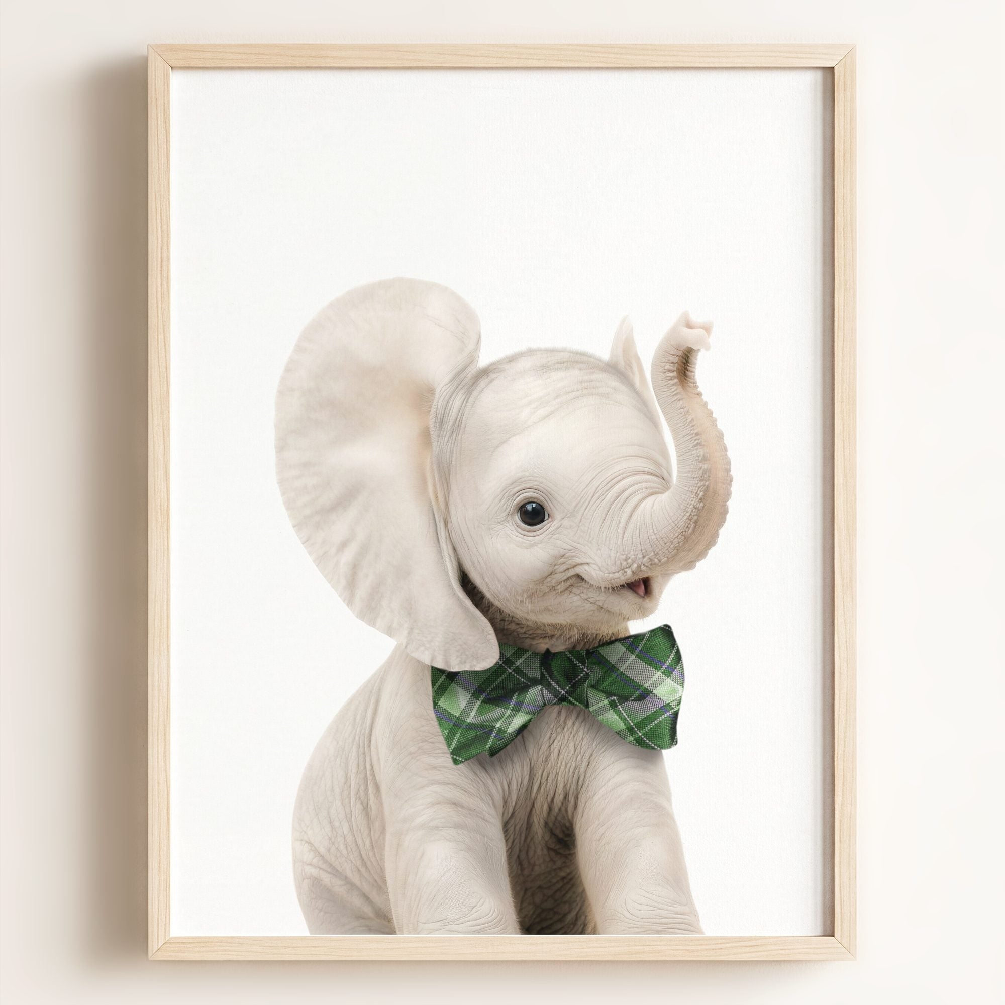 Baby Elephant