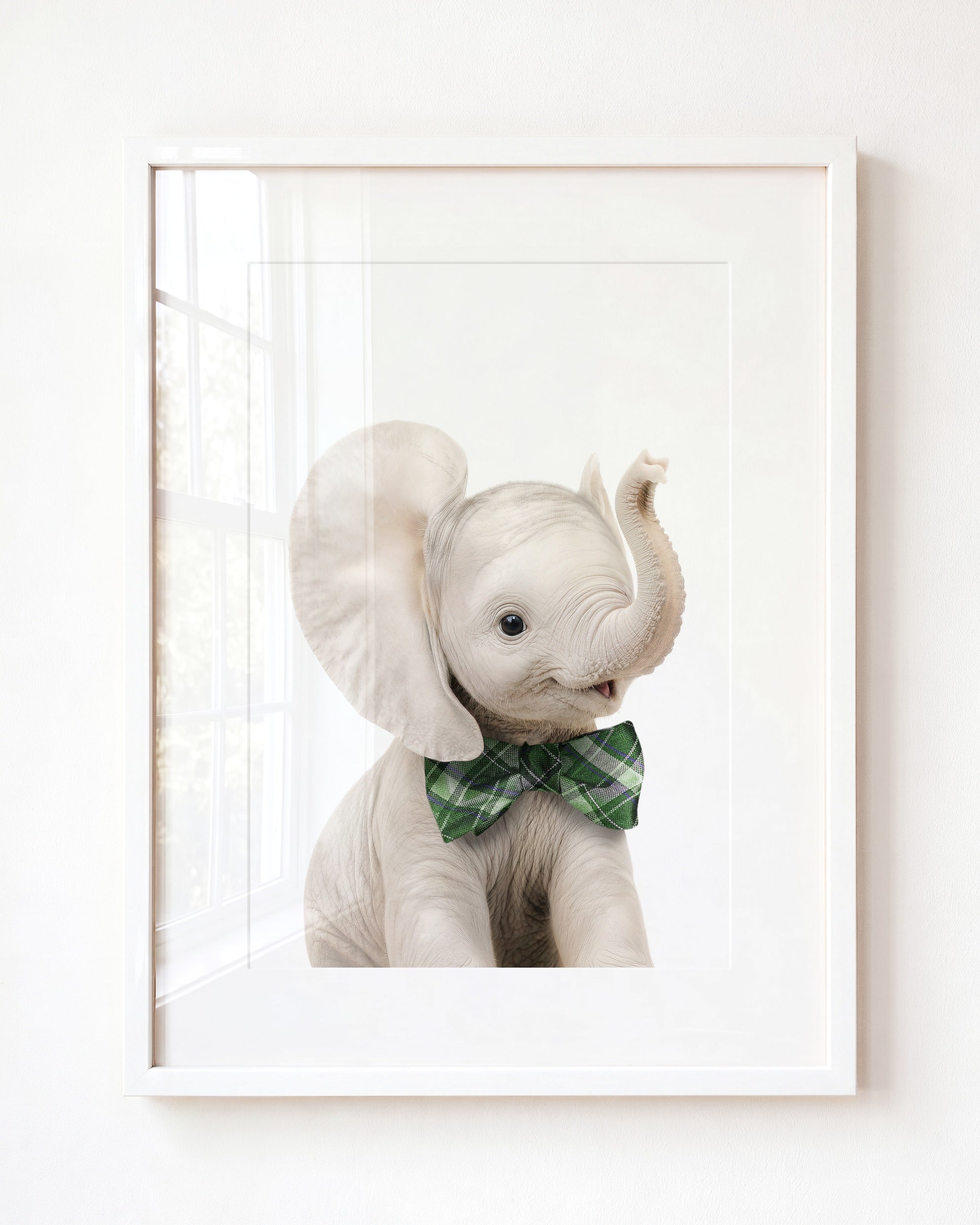 Baby Elephant