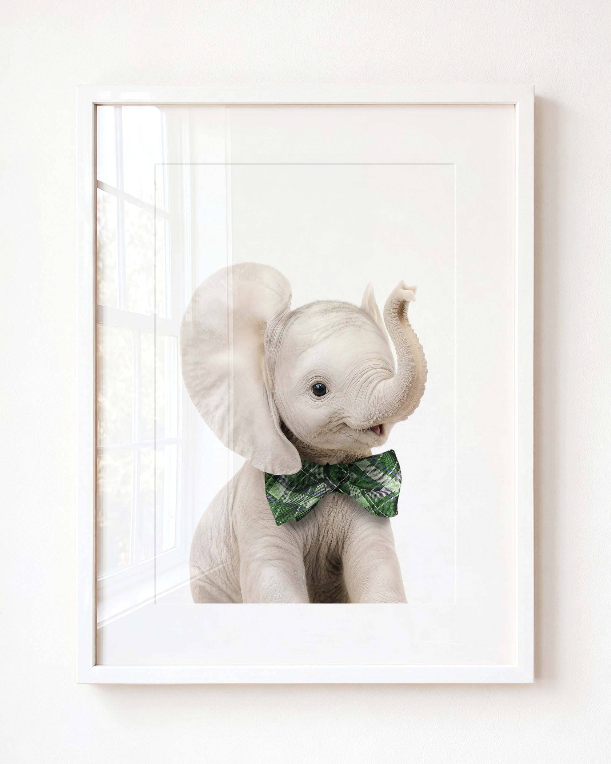Baby Elephant
