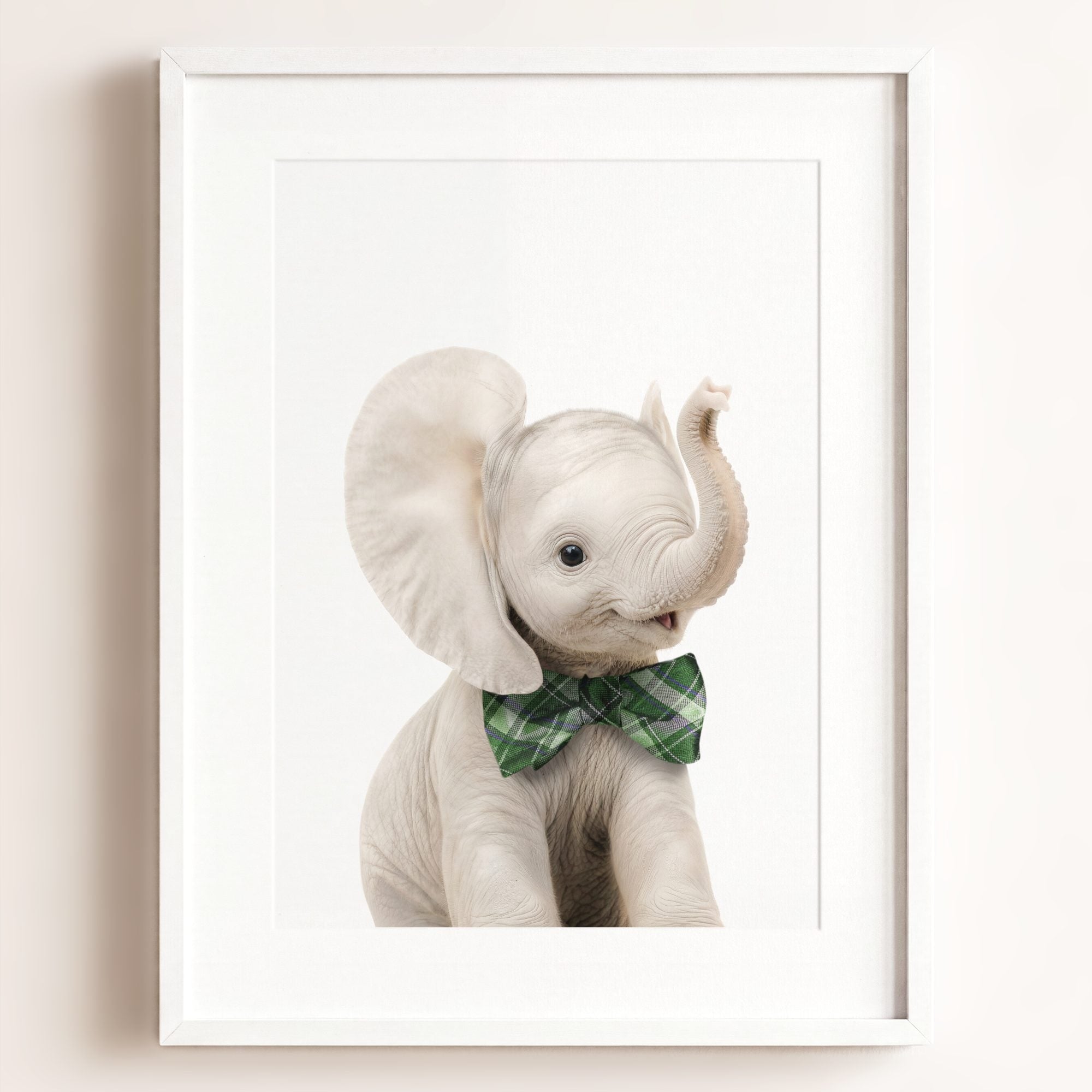 Baby Elephant
