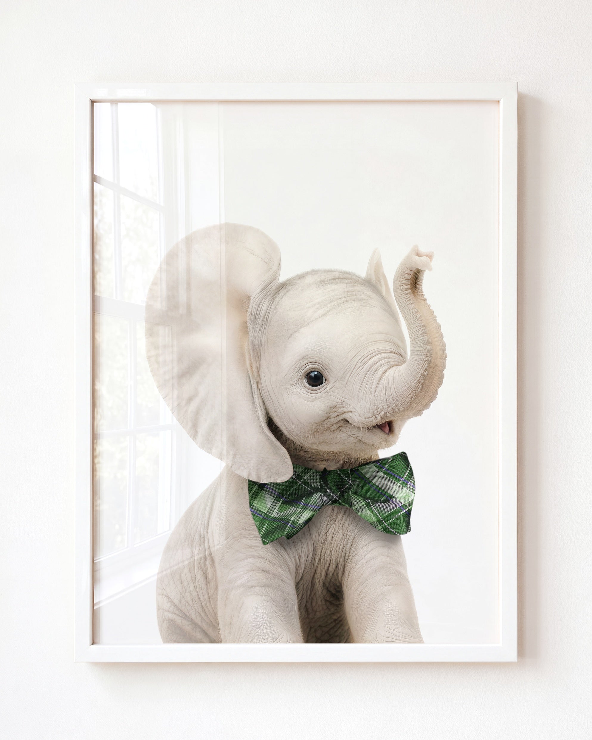 Baby Elephant