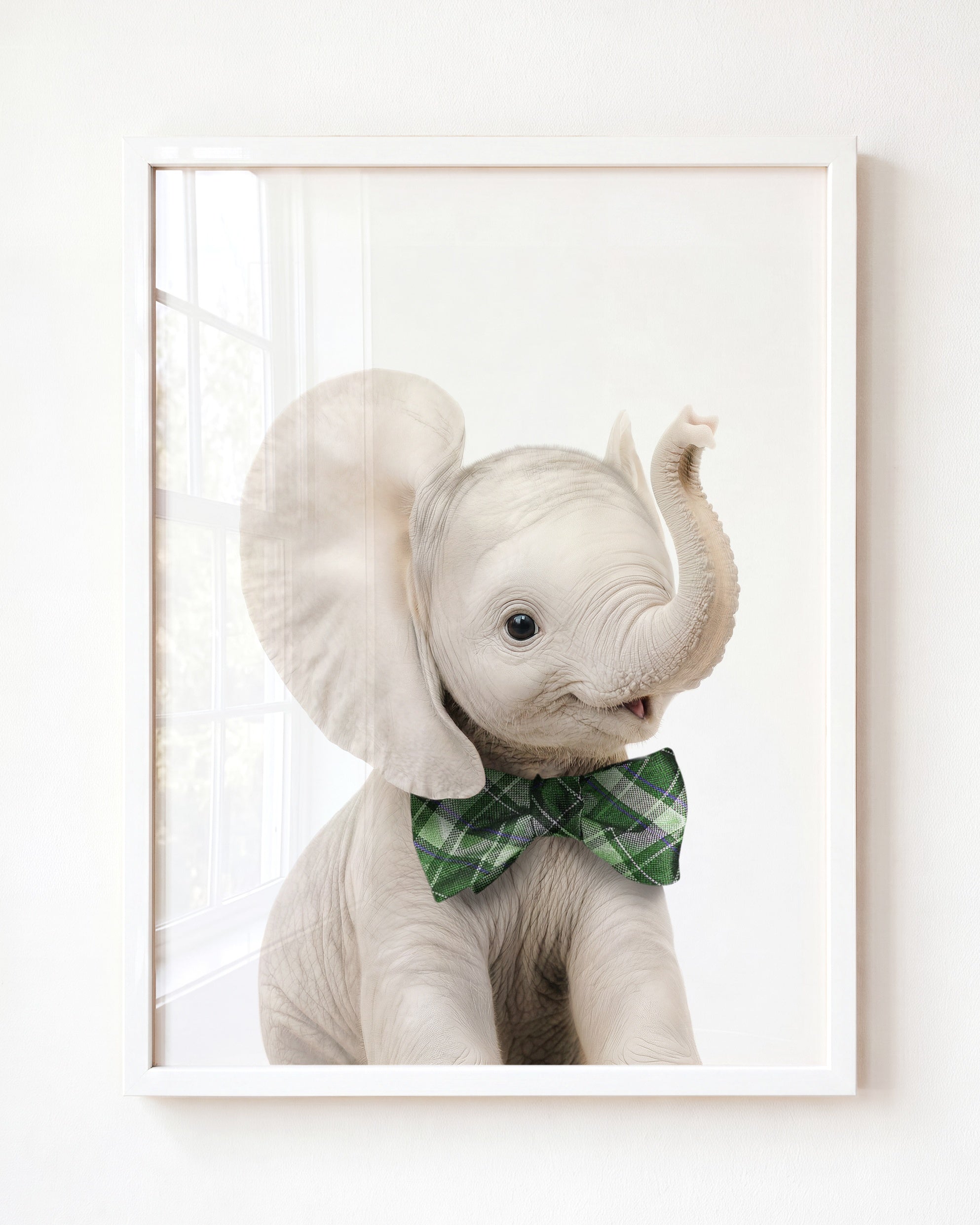 Baby Elephant