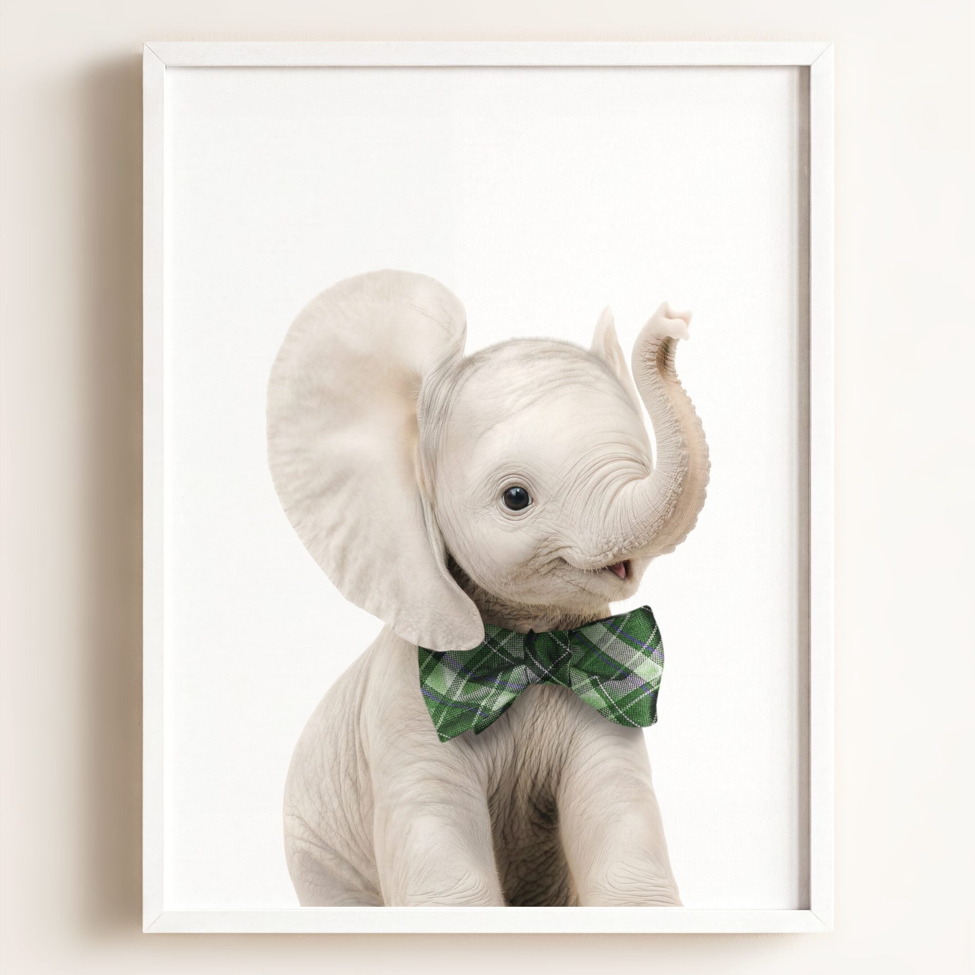 Baby Elephant
