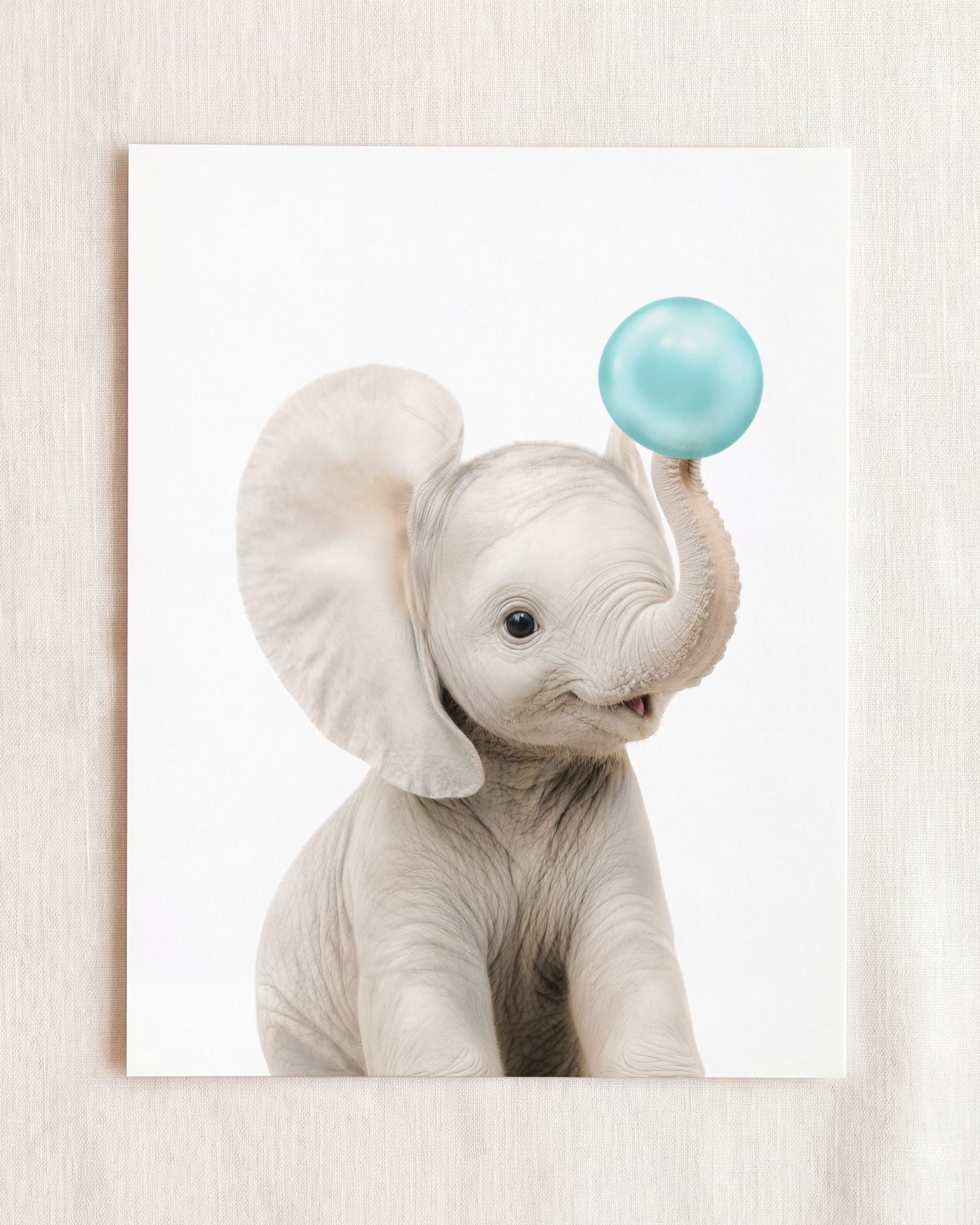 Baby Elephant