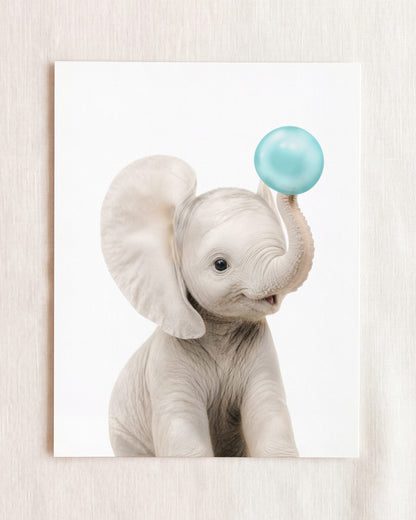 Baby Elephant