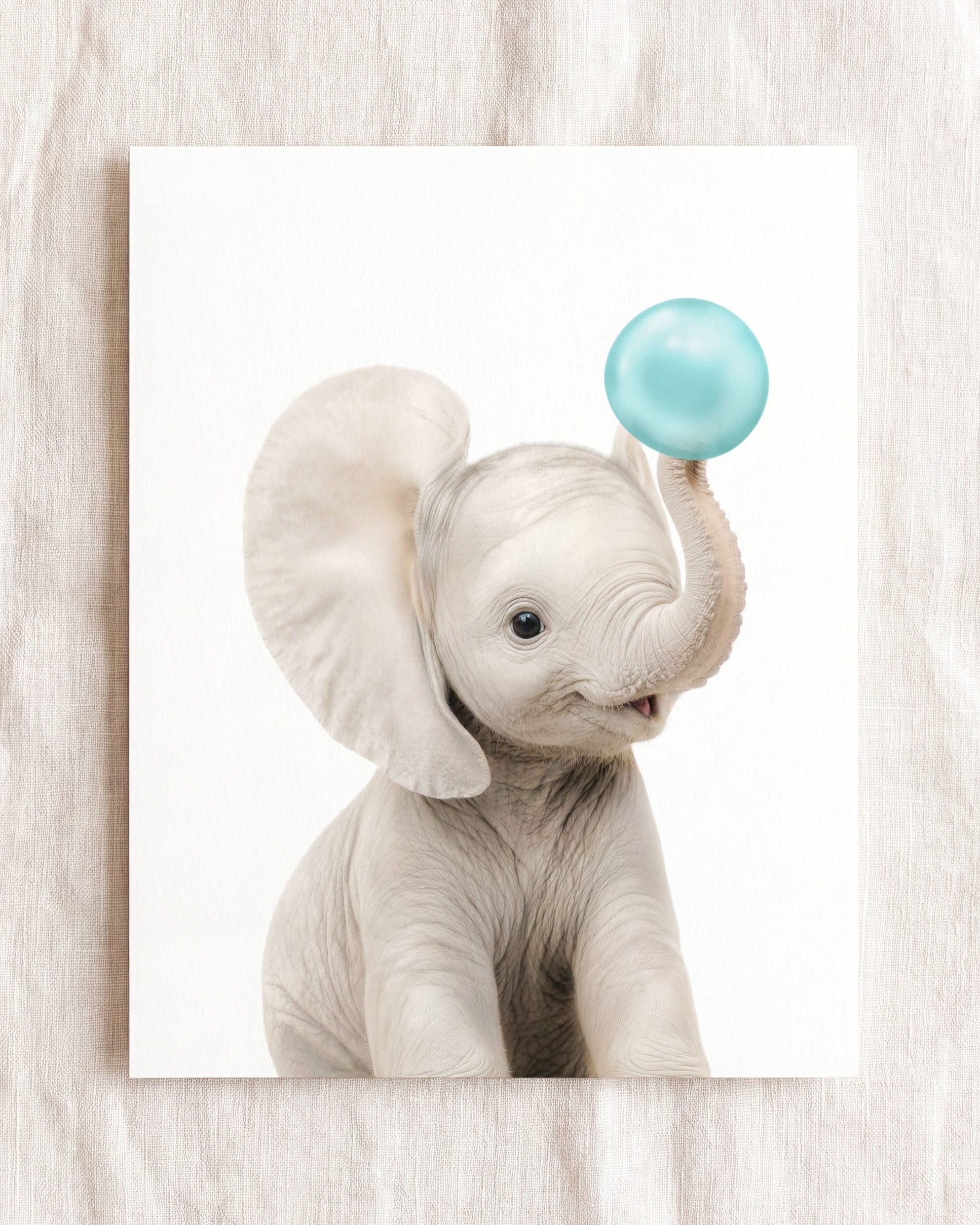 Baby Elephant
