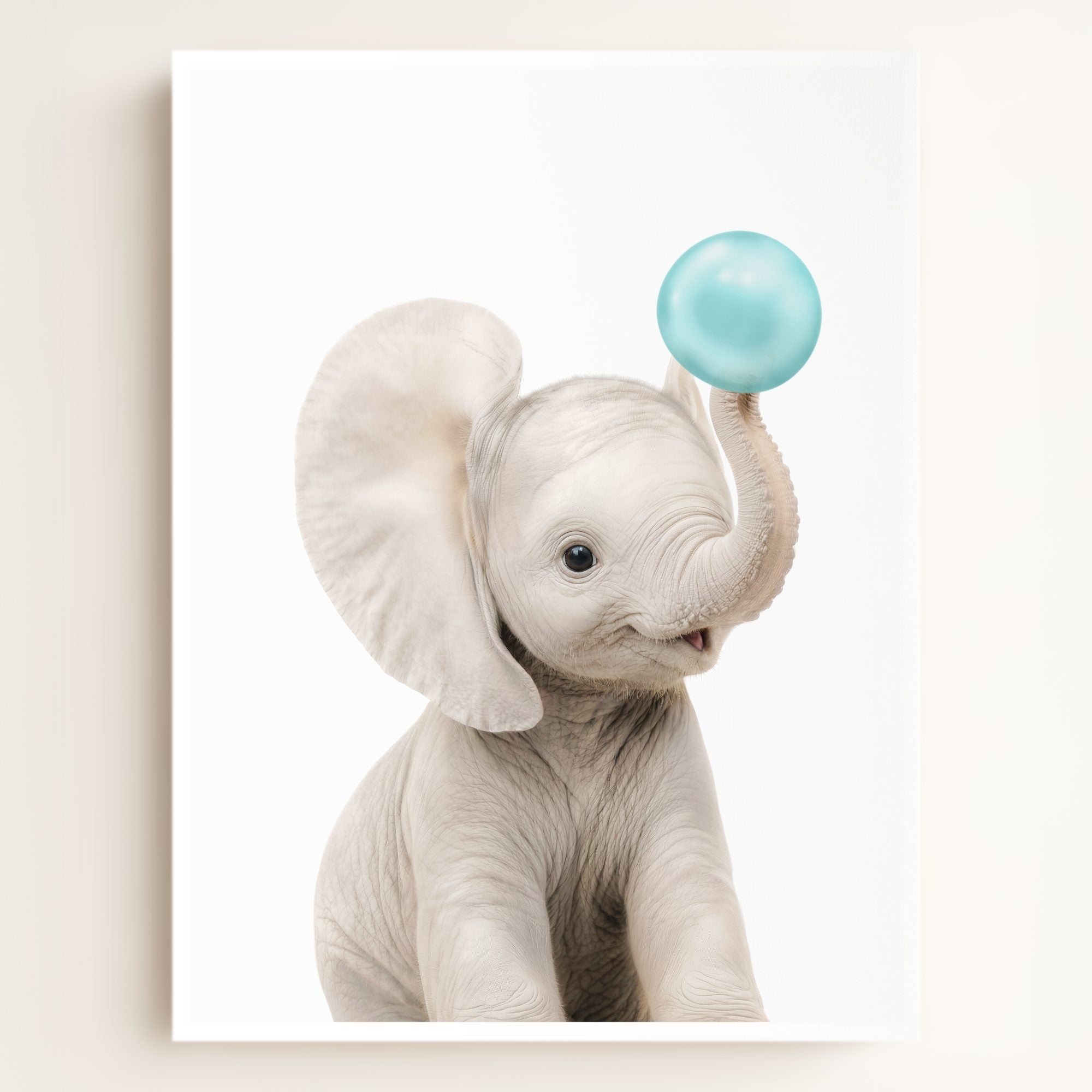Baby Elephant