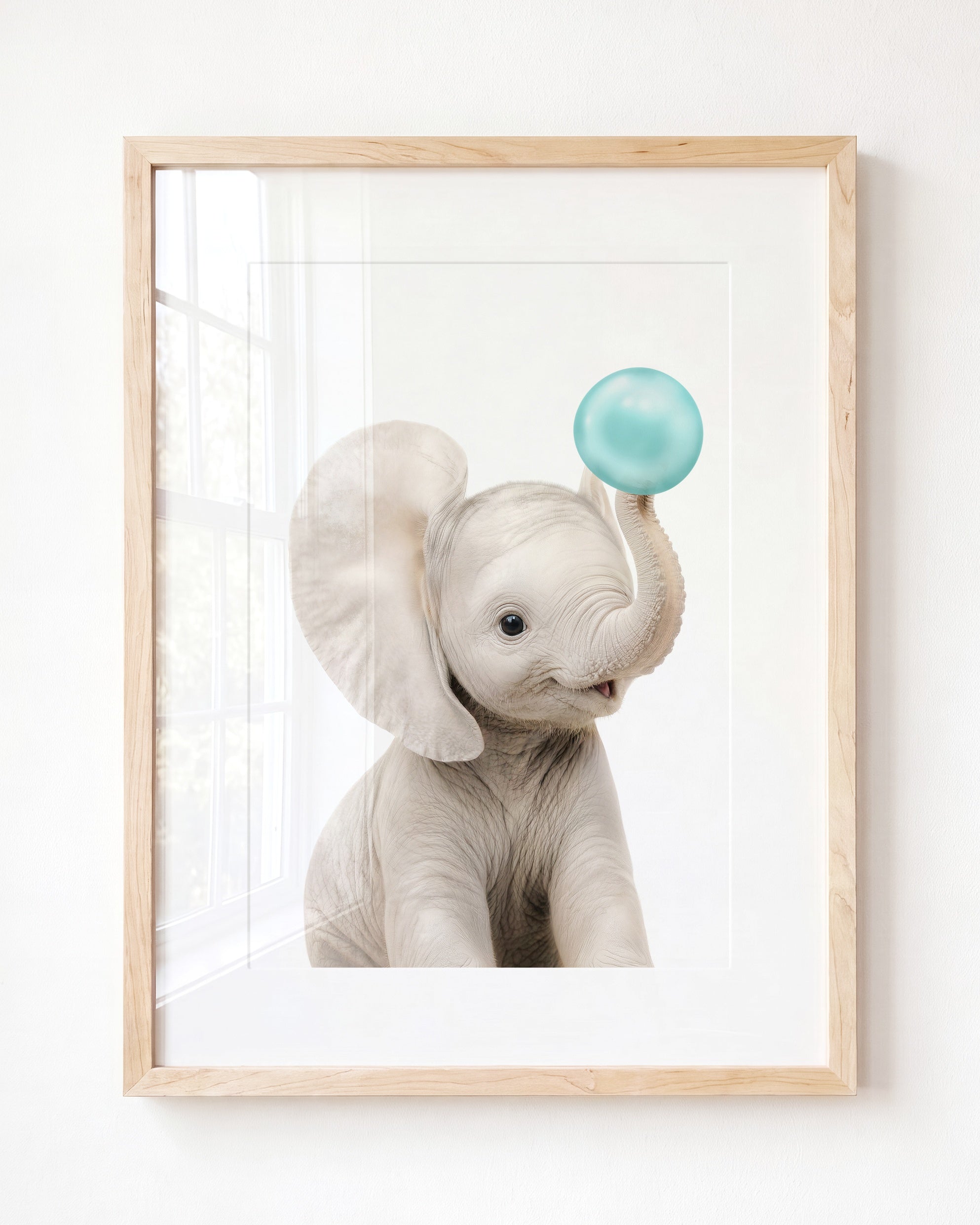 Baby Elephant