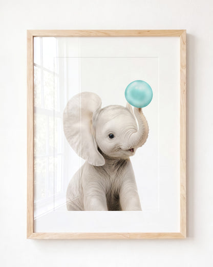 Baby Elephant