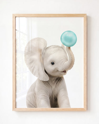 Baby Elephant