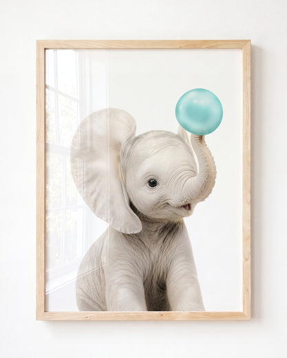 Baby Elephant