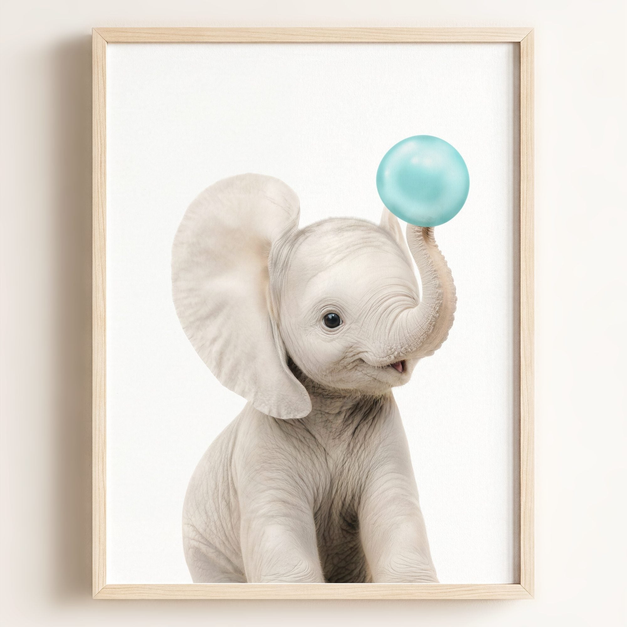 Baby Elephant
