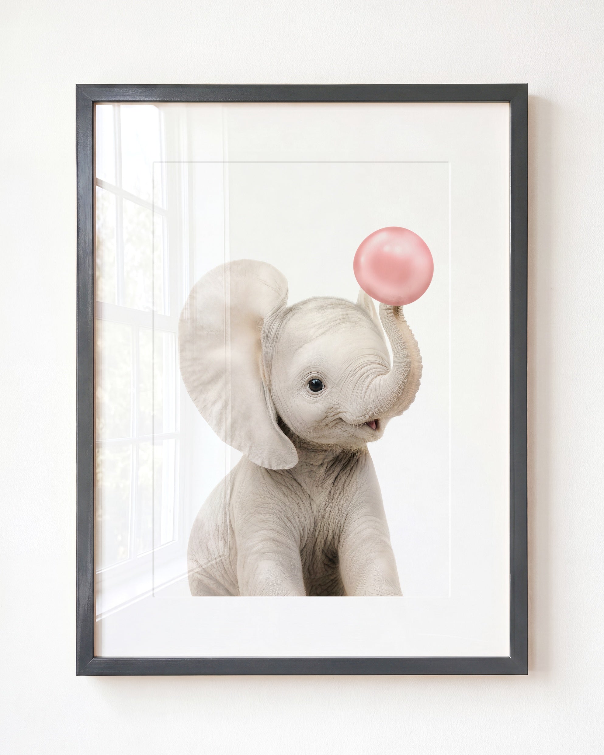 Baby Elephant
