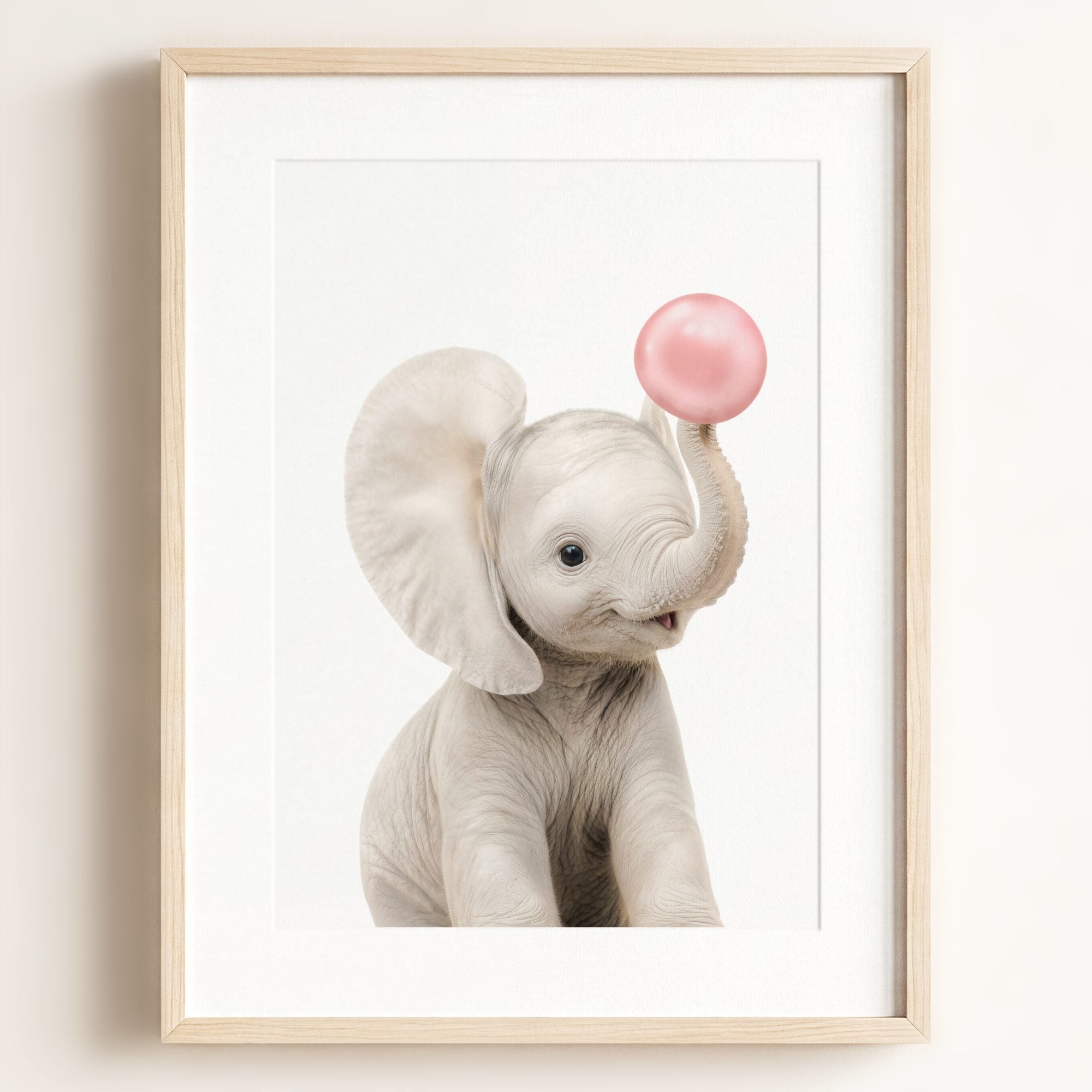 Baby Elephant