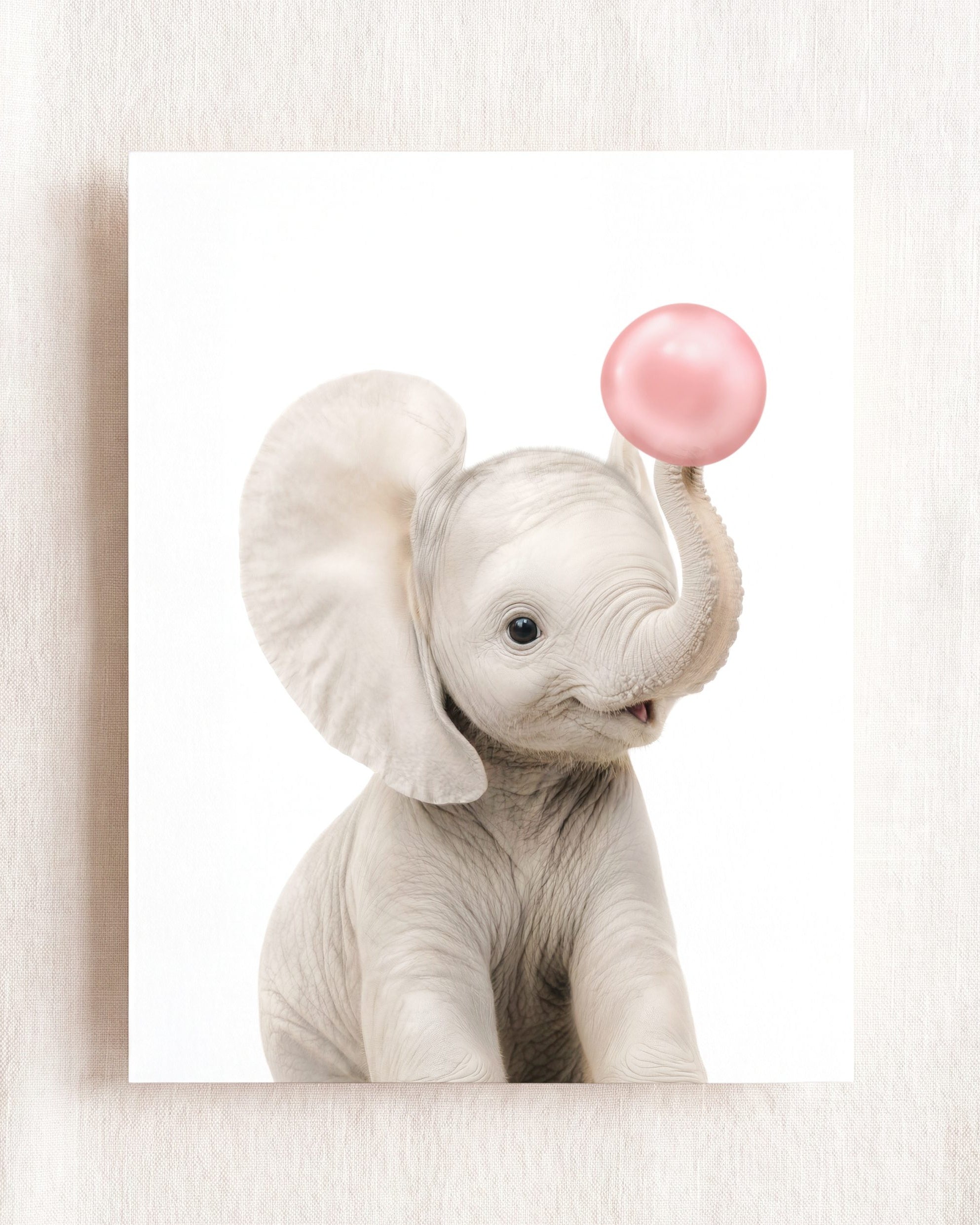 Baby Elephant