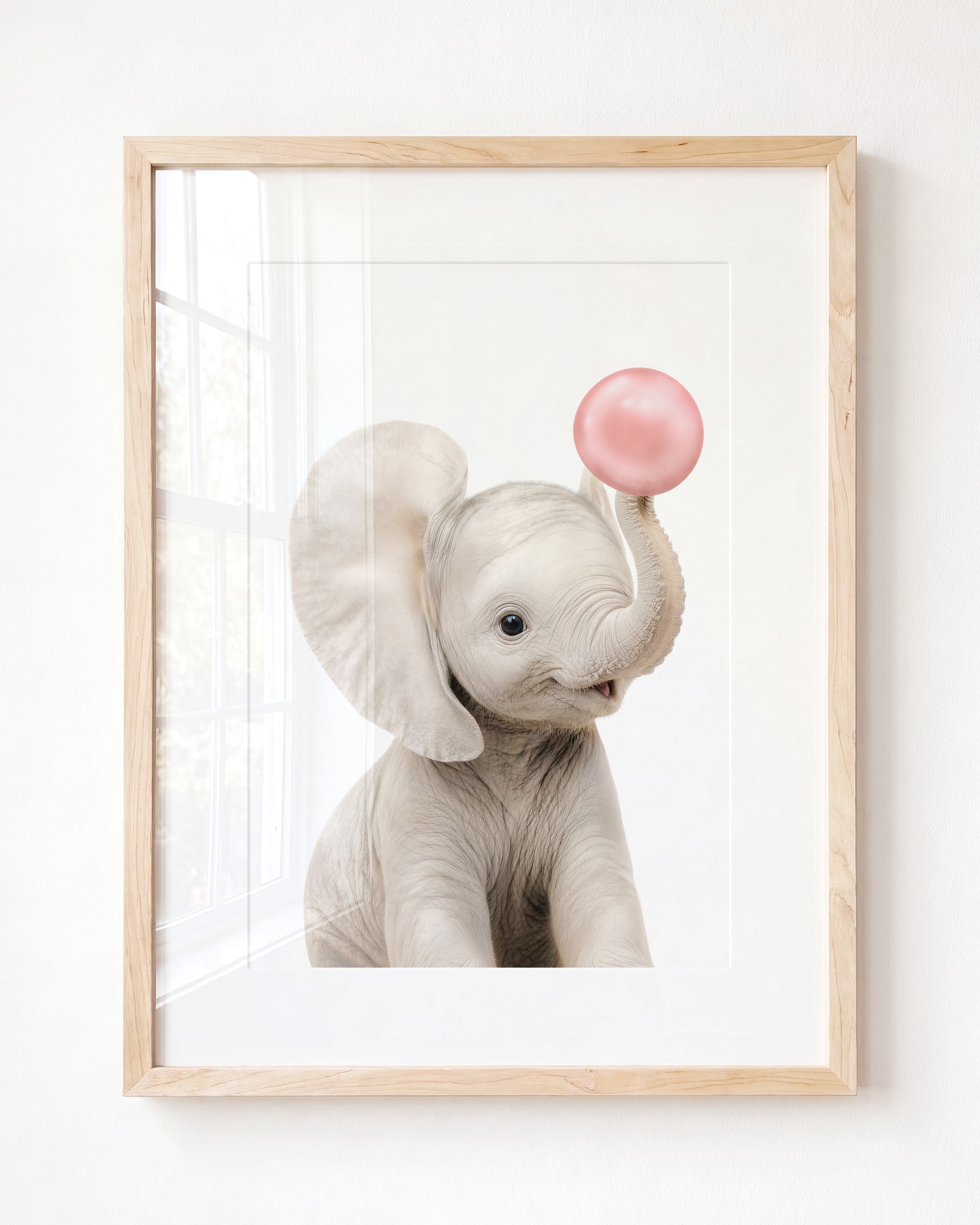 Baby Elephant