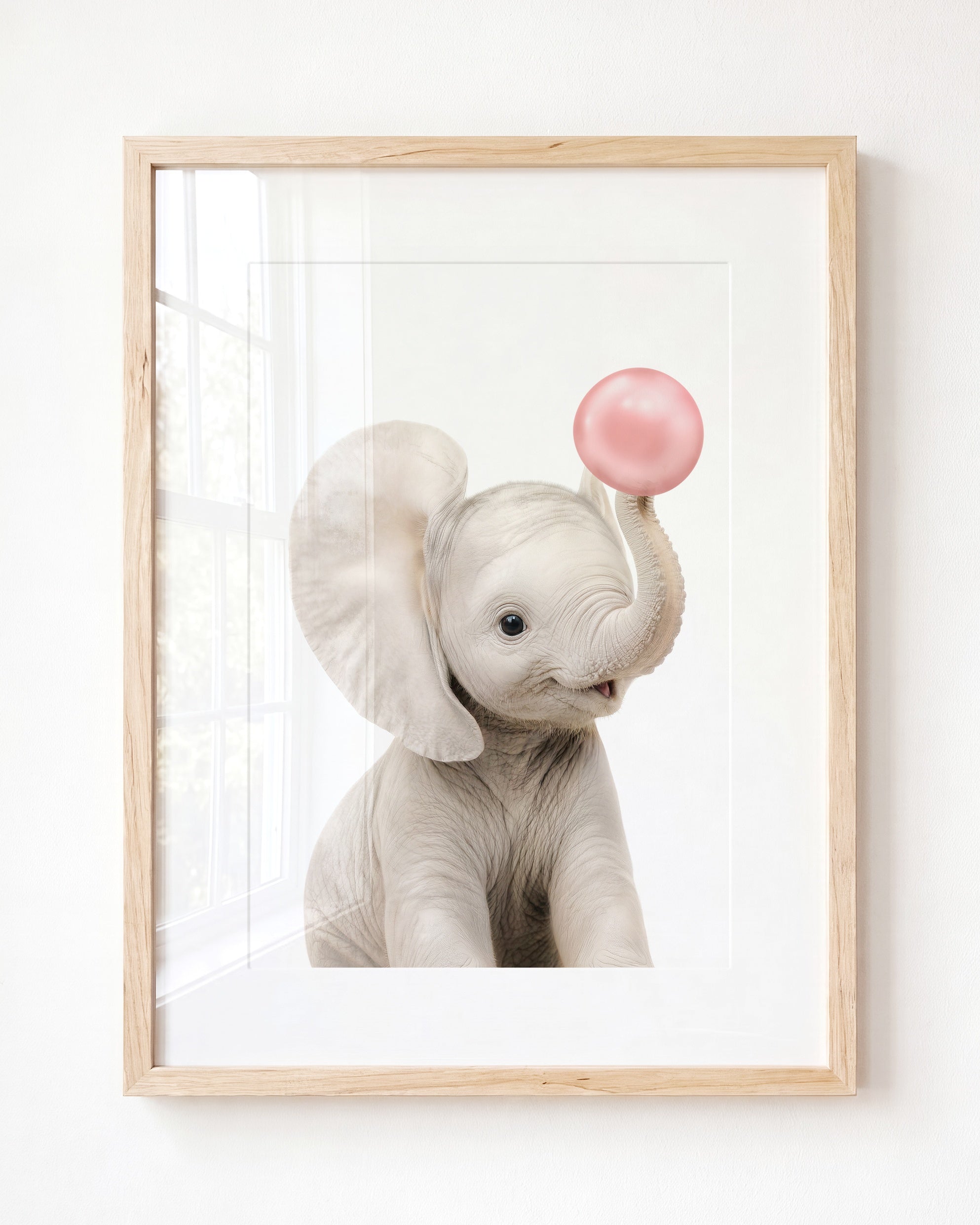 Baby Elephant