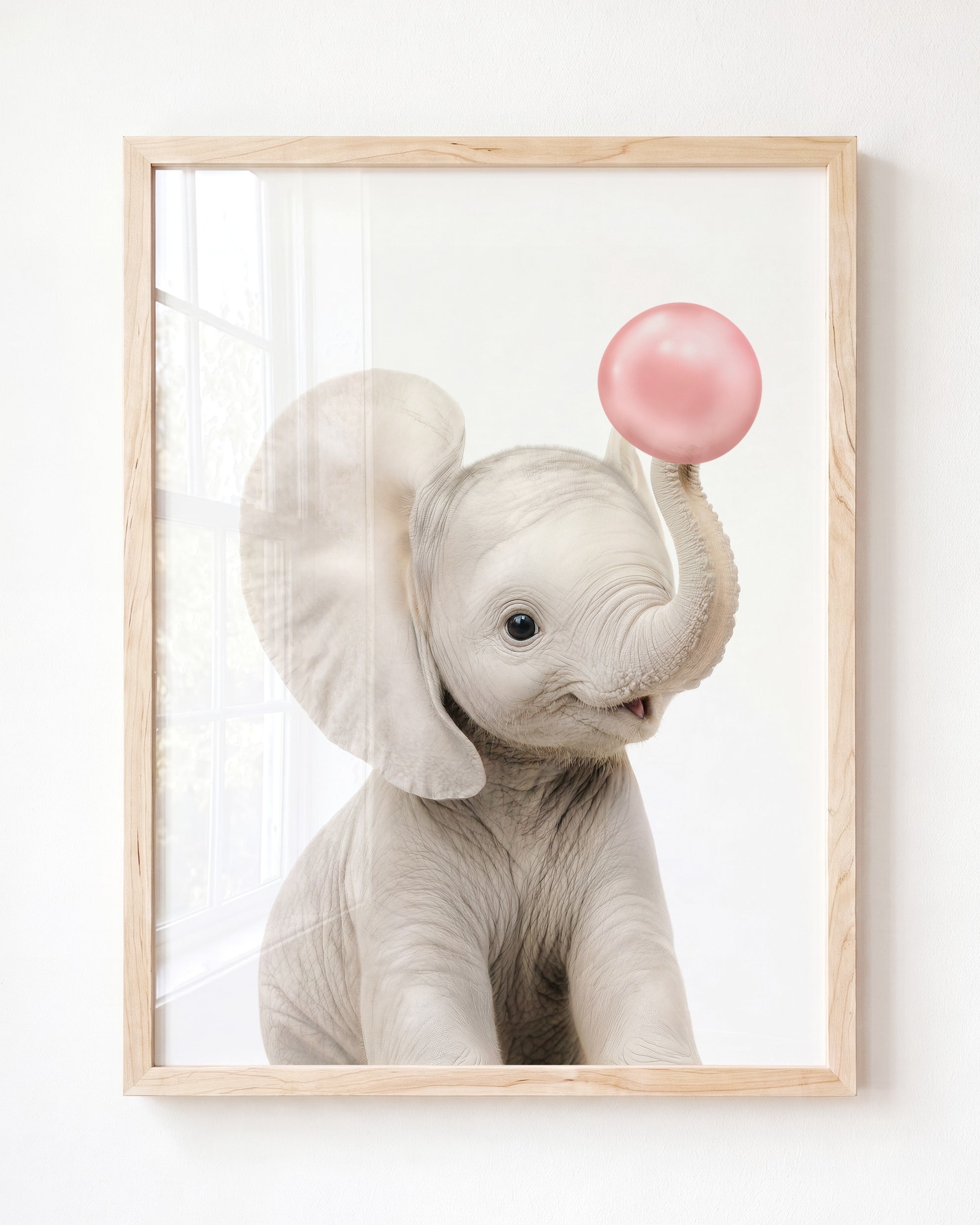 Baby Elephant