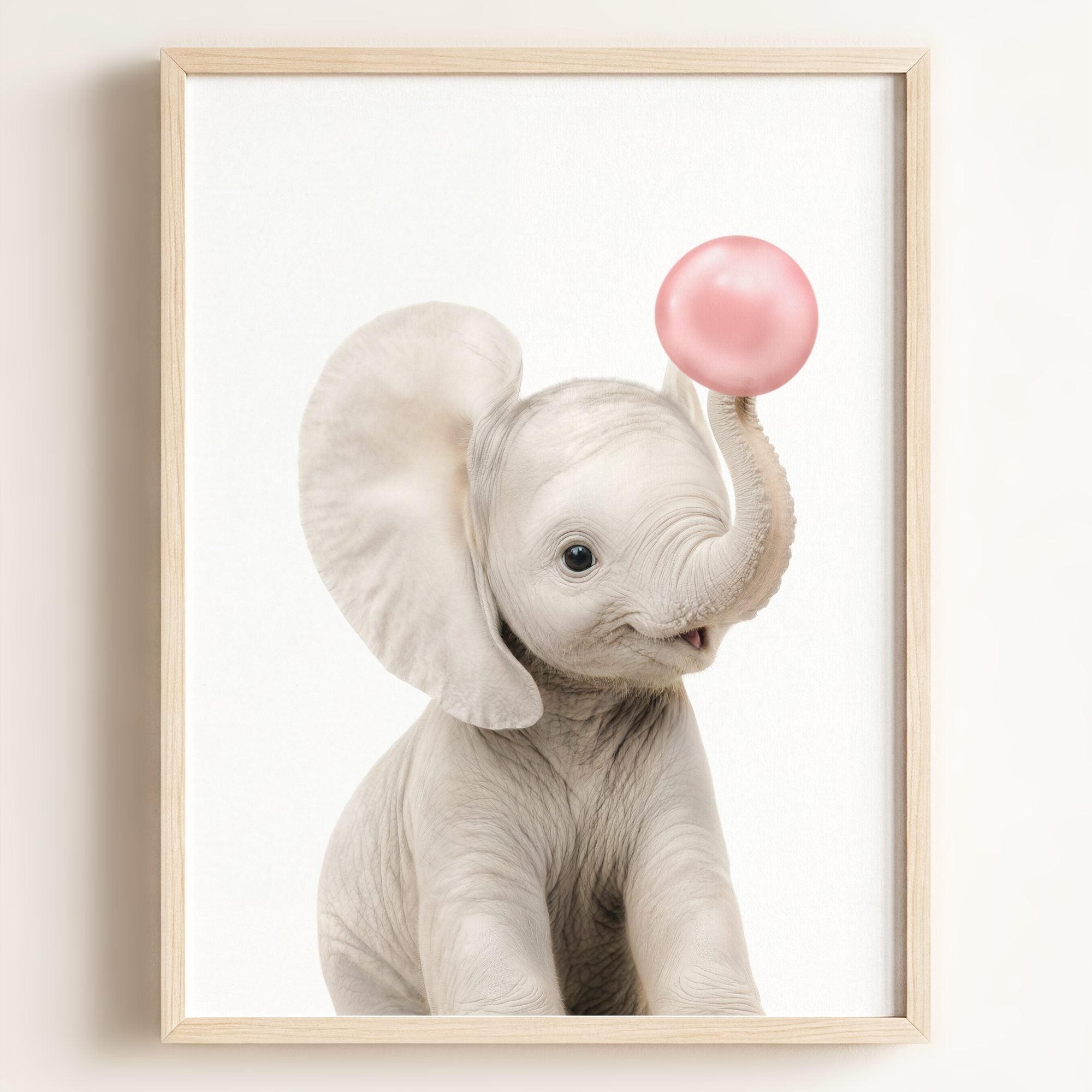 Baby Elephant