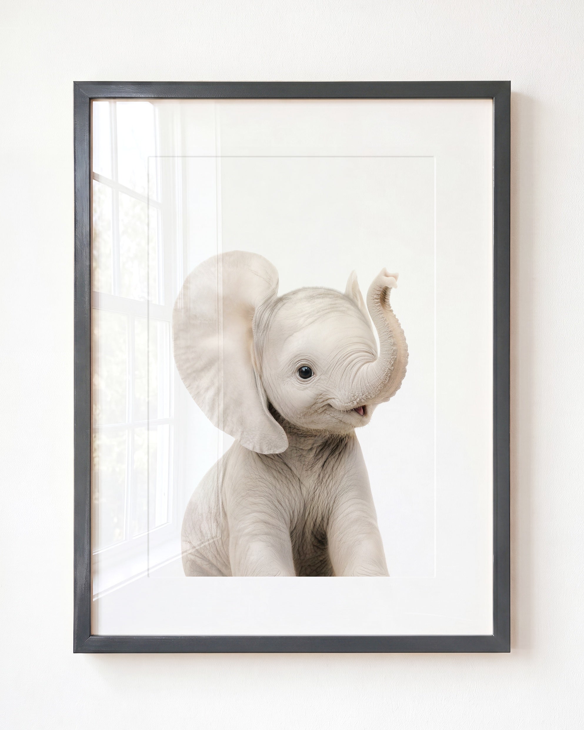 Baby Elephant
