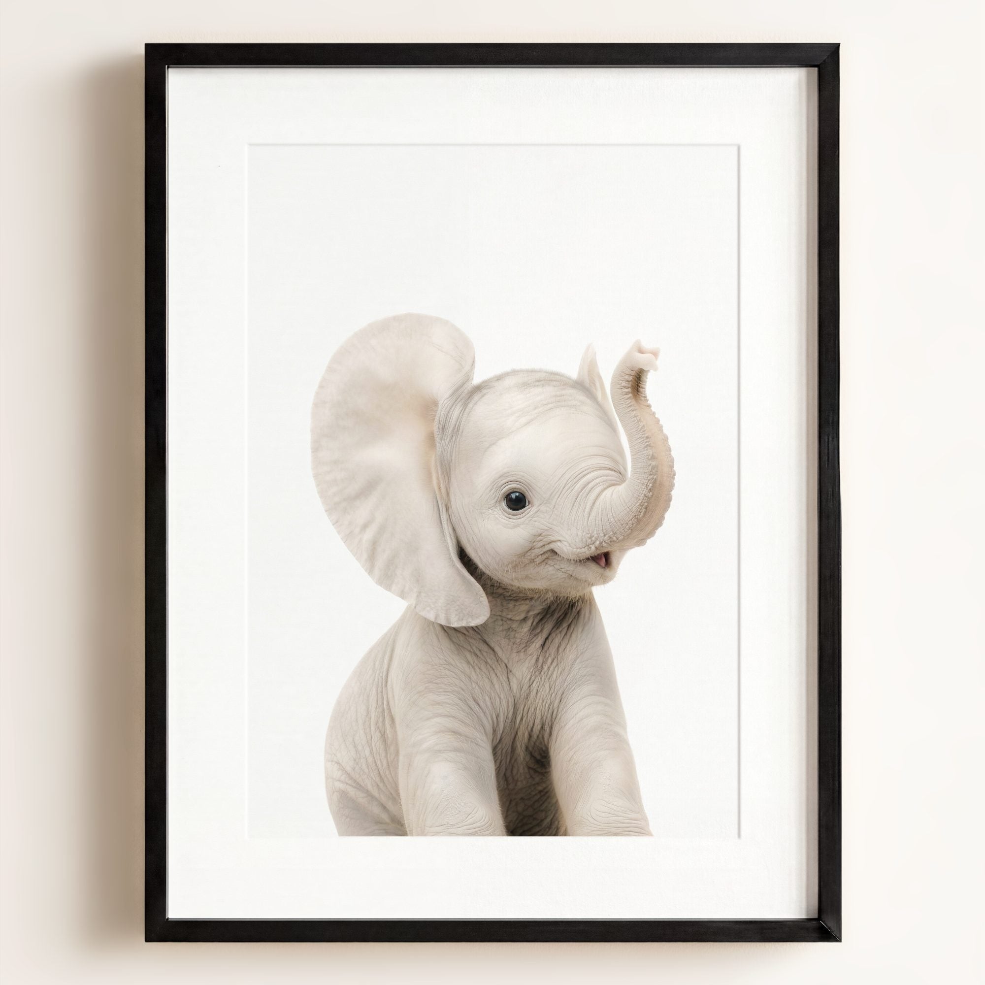 Baby Elephant
