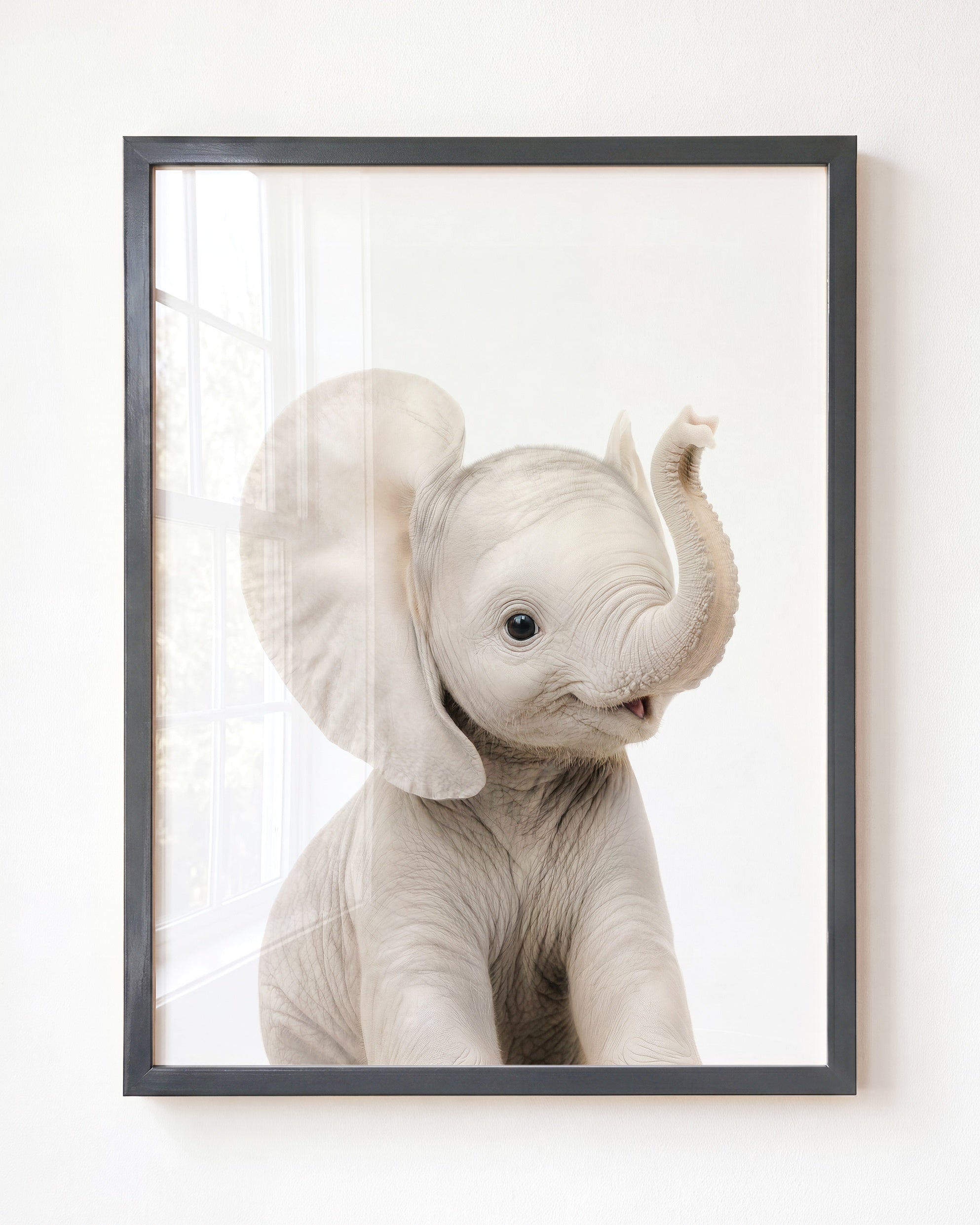 Baby Elephant