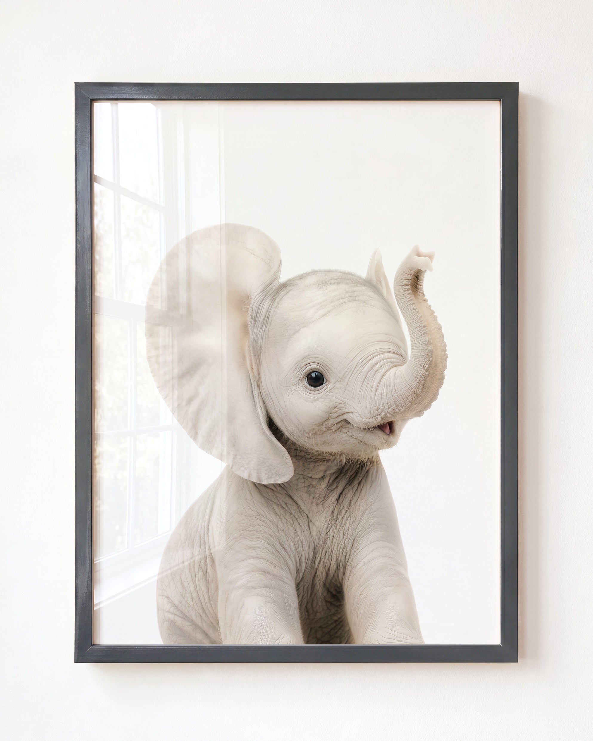 Baby Elephant