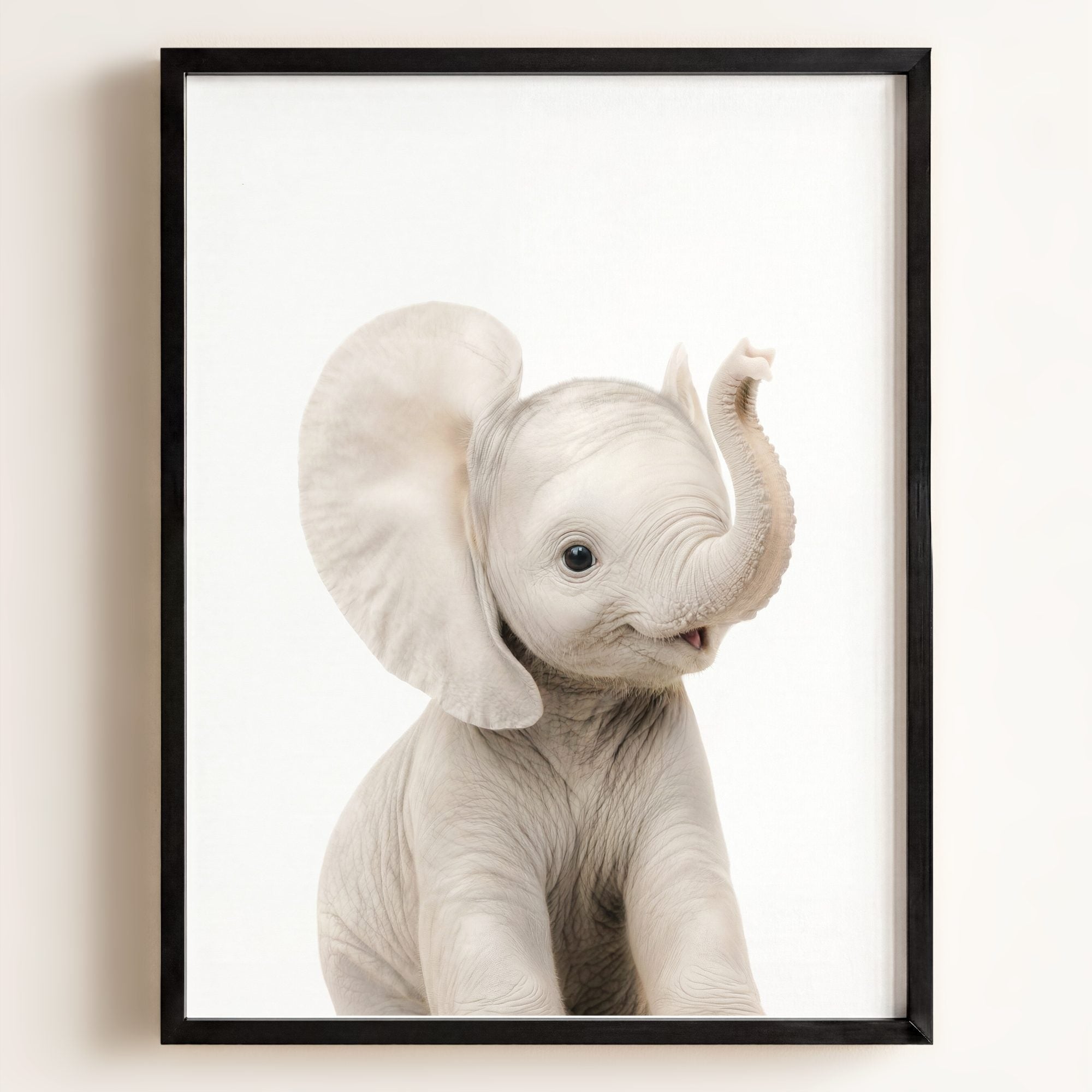 Baby Elephant