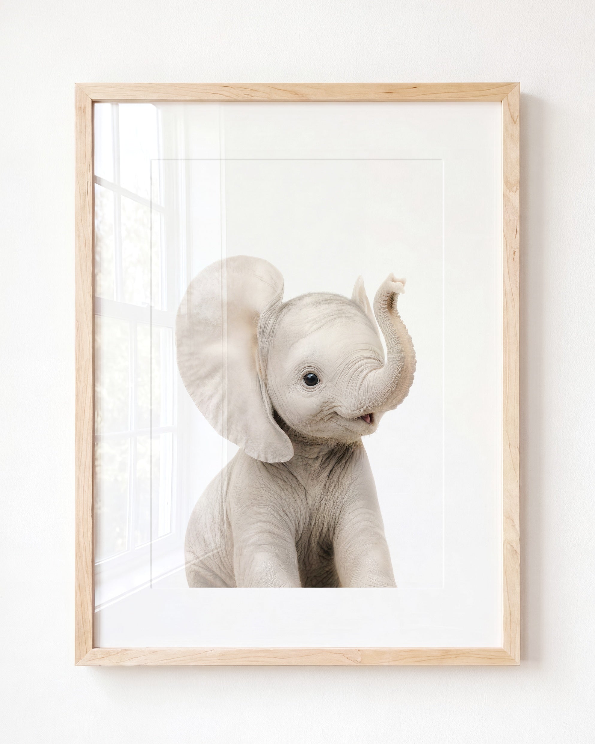 Baby Elephant