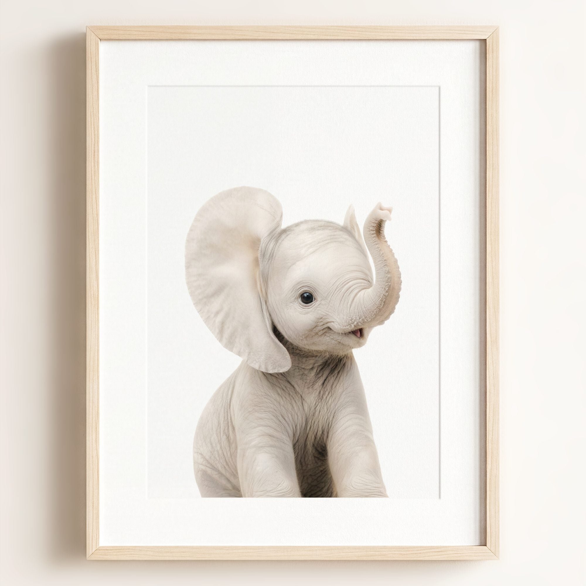 Baby Elephant