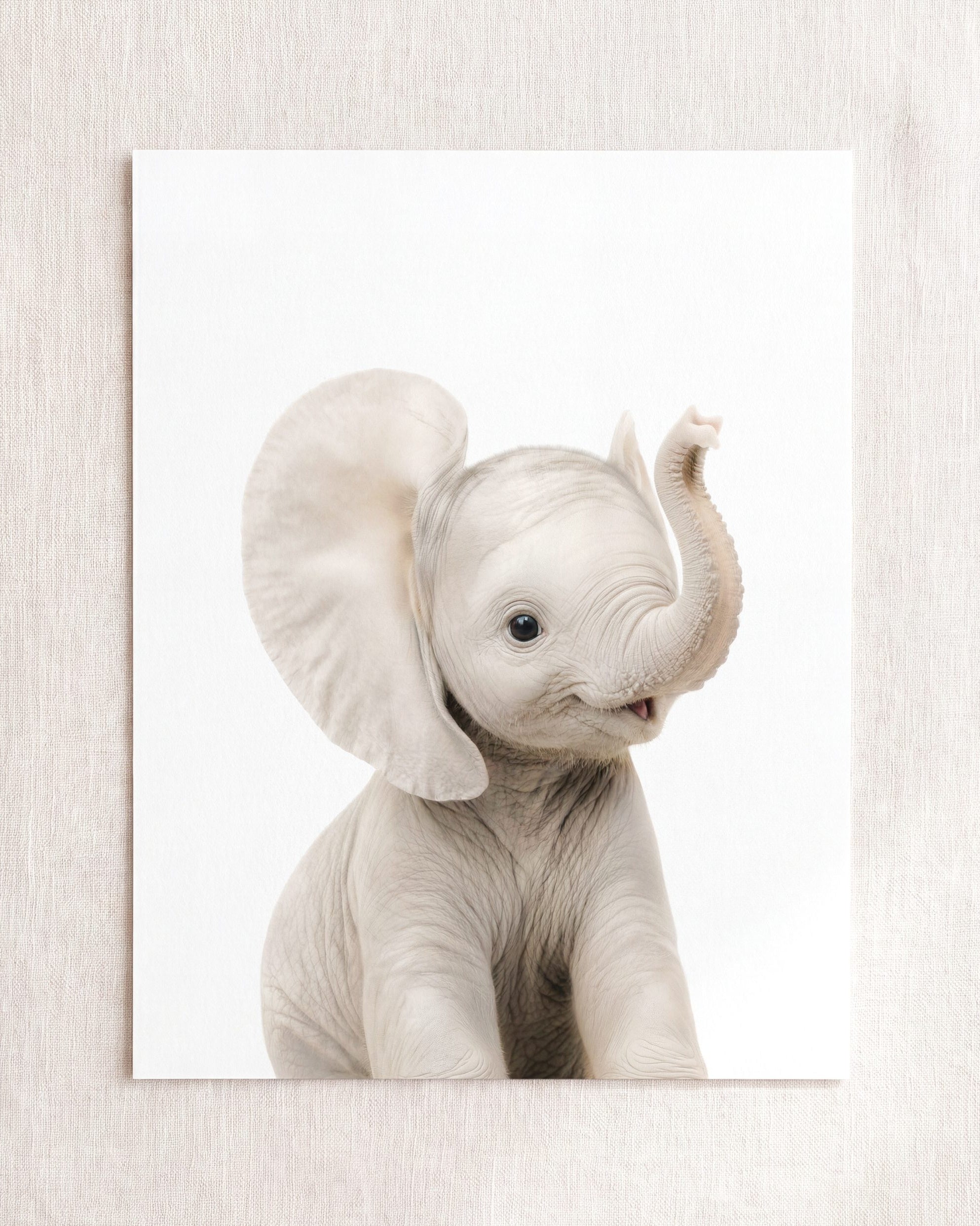 Baby Elephant