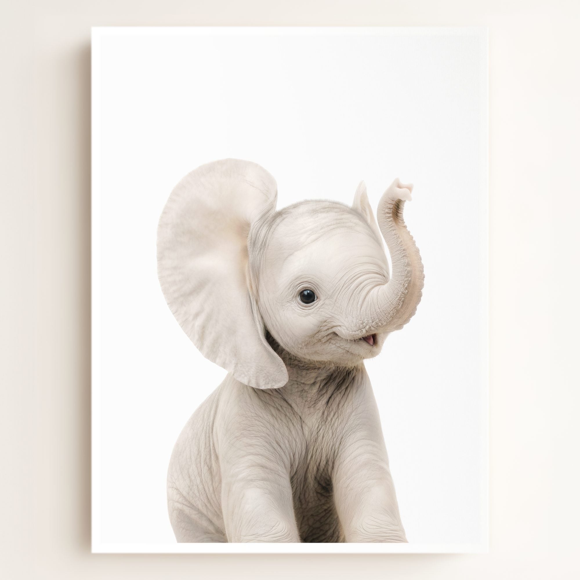 Baby Elephant