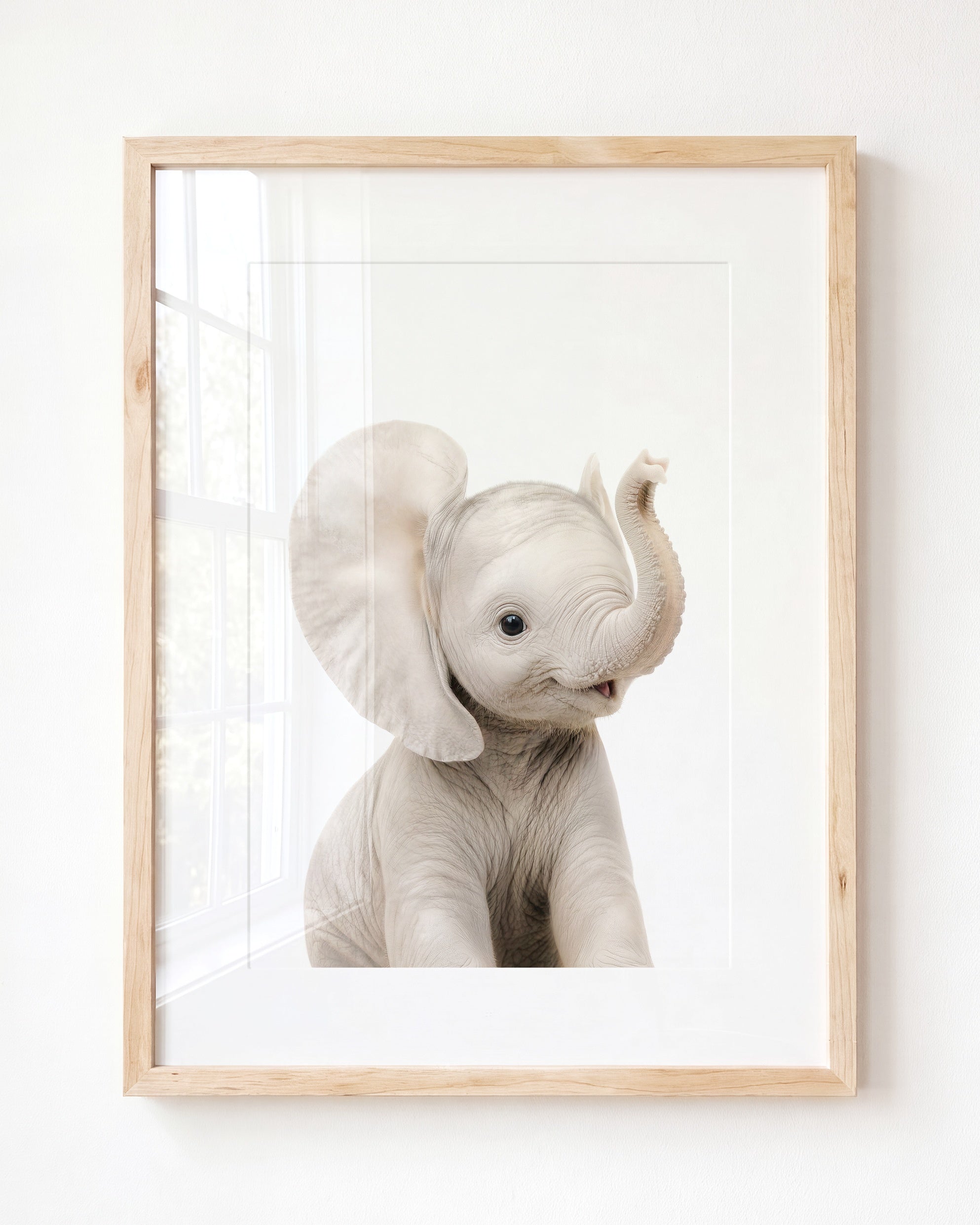 Baby Elephant