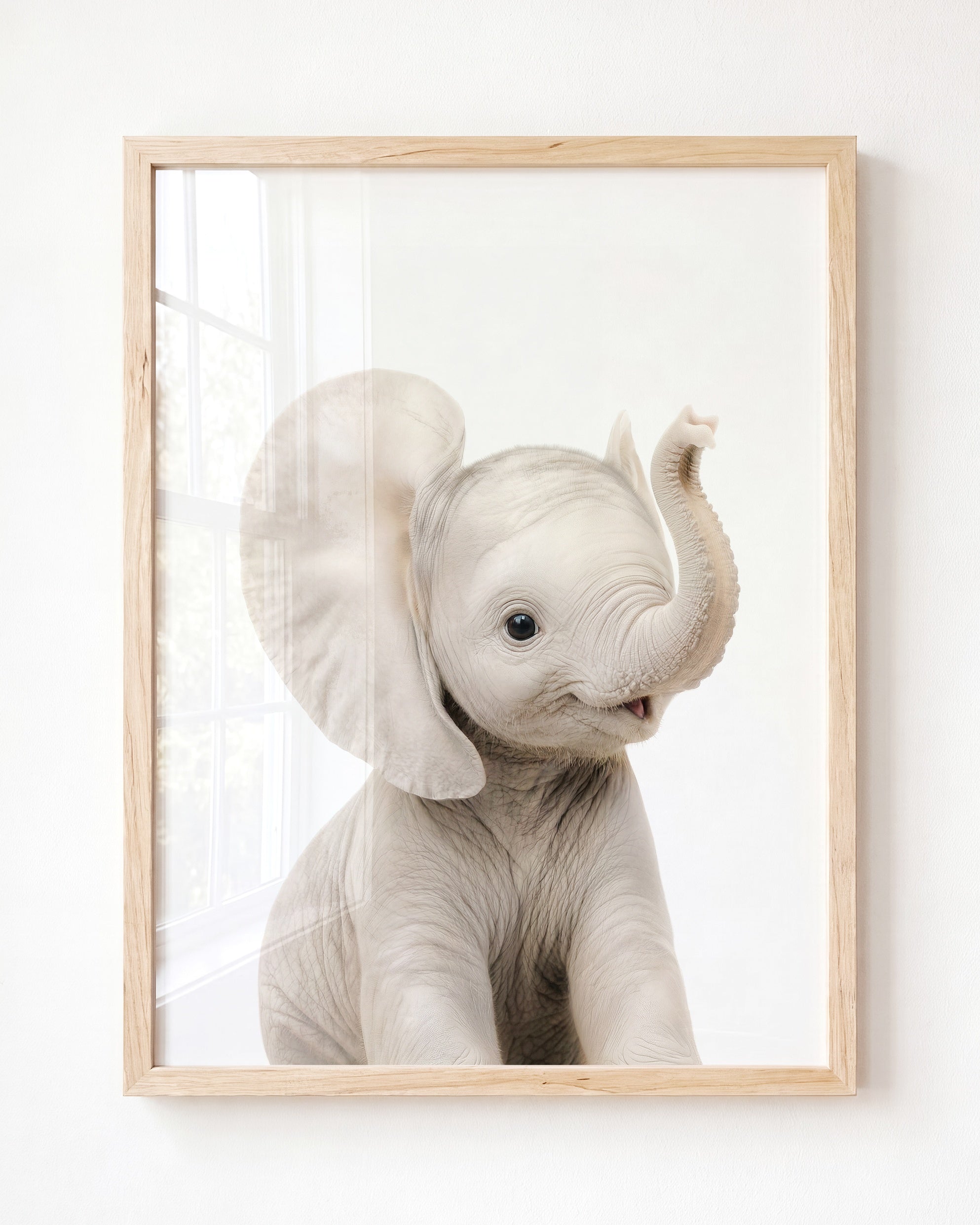 Baby Elephant