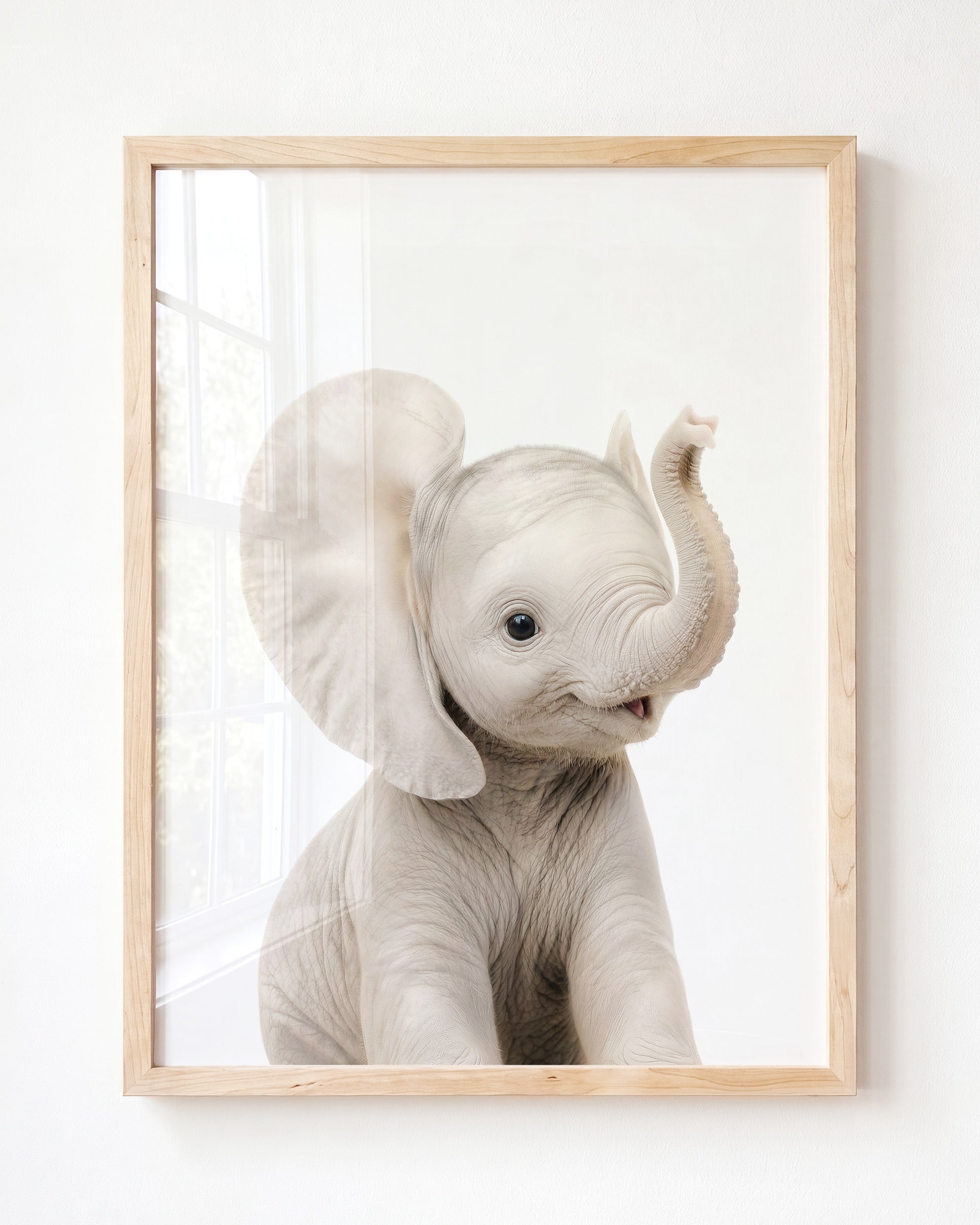 Baby Elephant