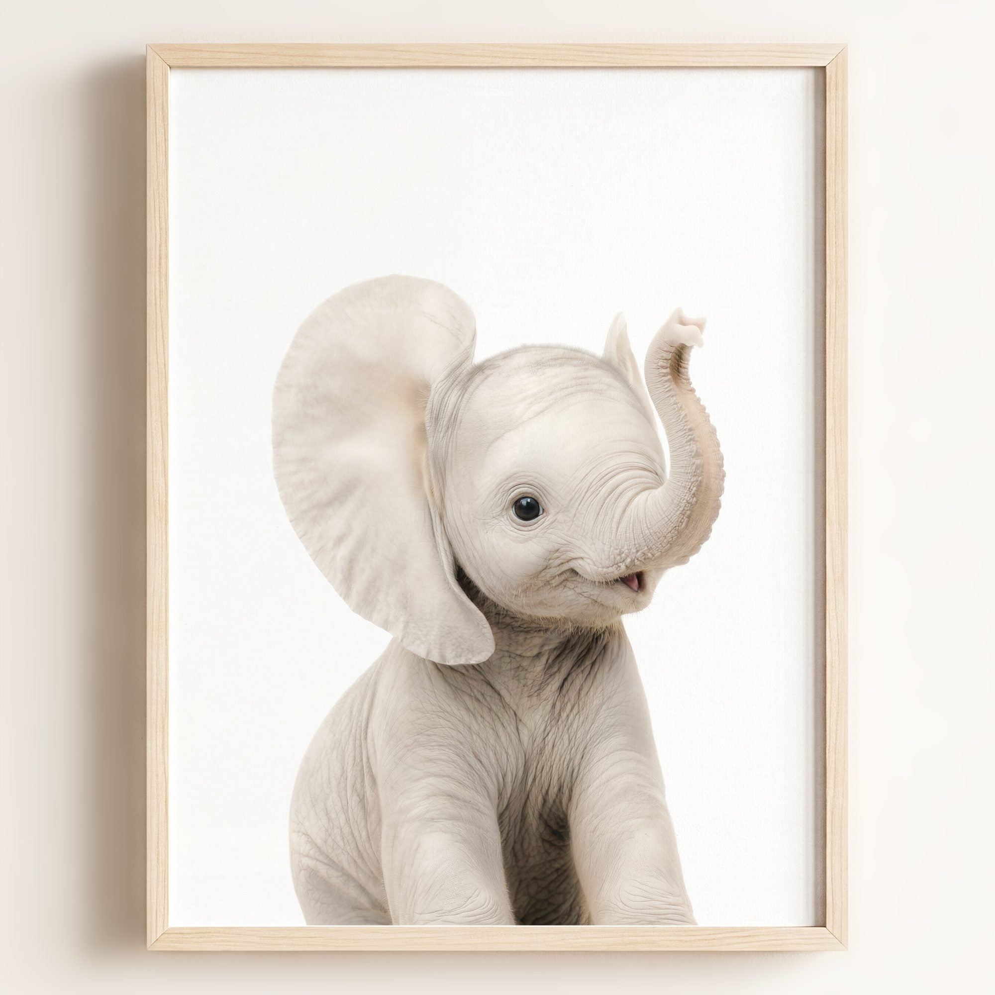 Baby Elephant