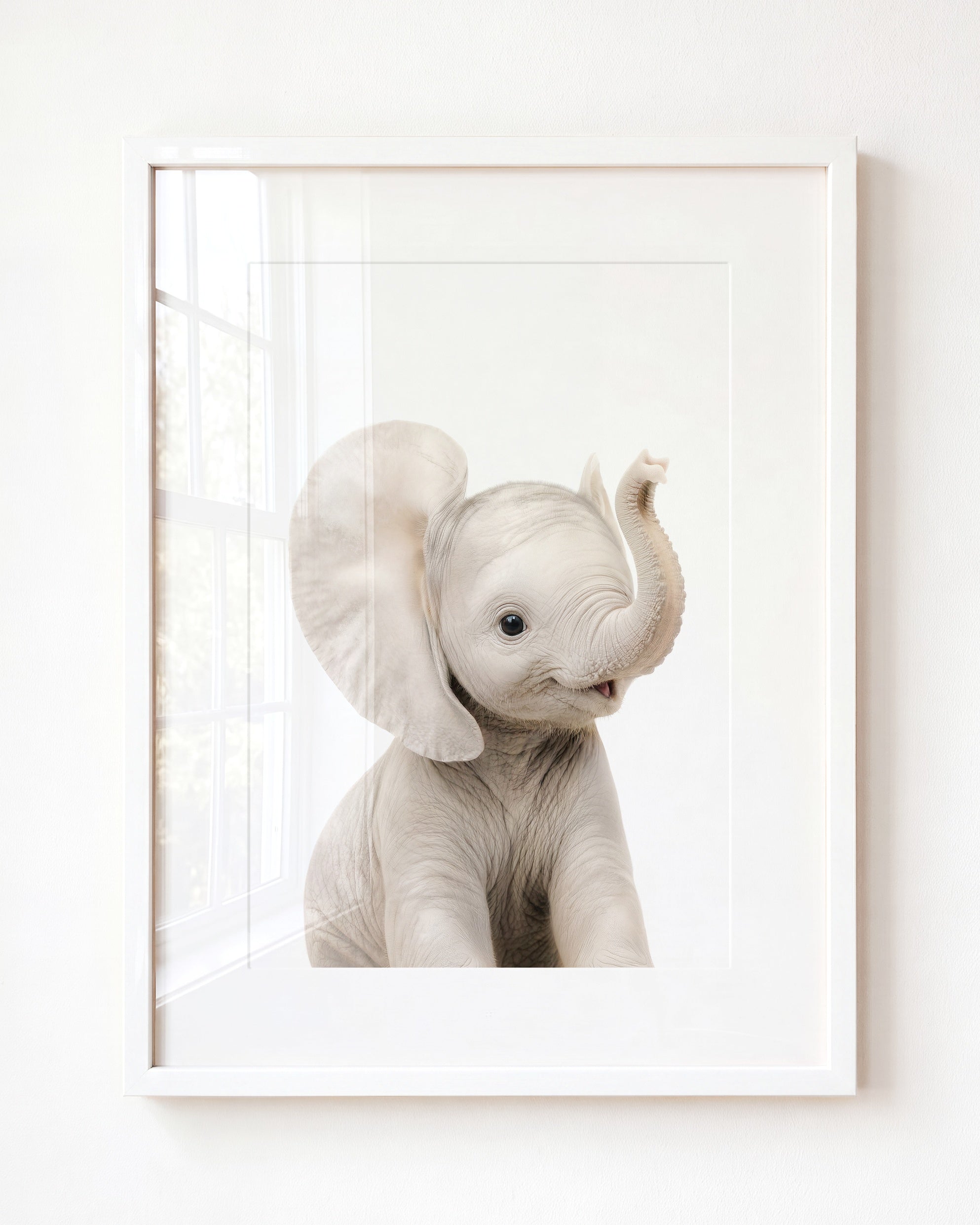 Baby Elephant